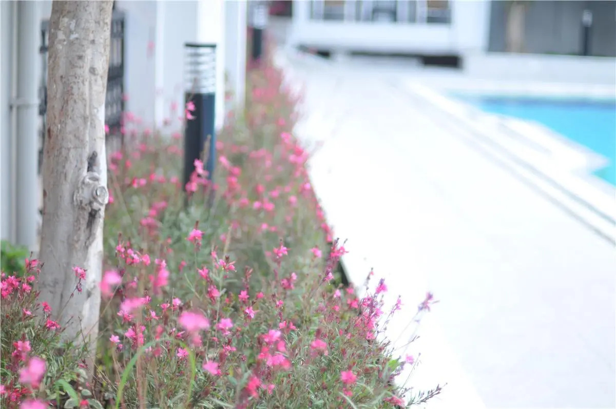 Club Sema Suite Hotel