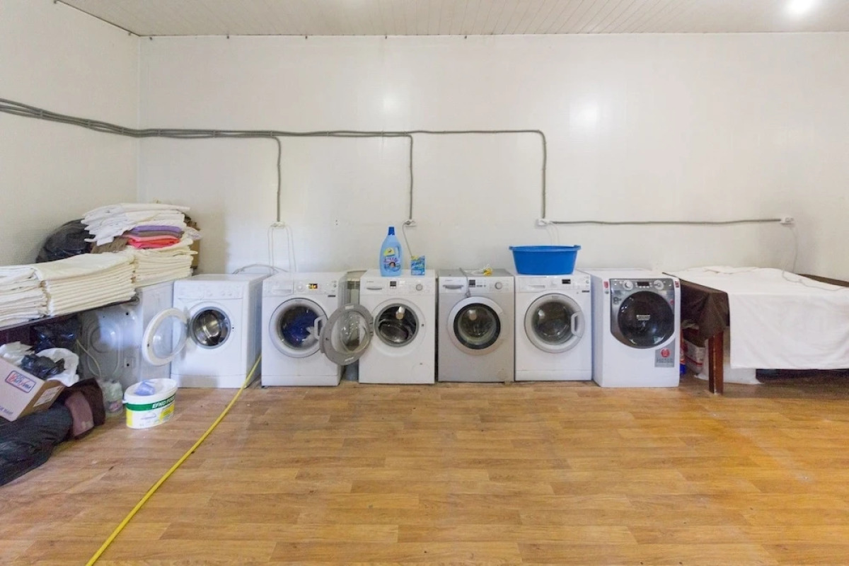 Отель «Оазис в лесу»