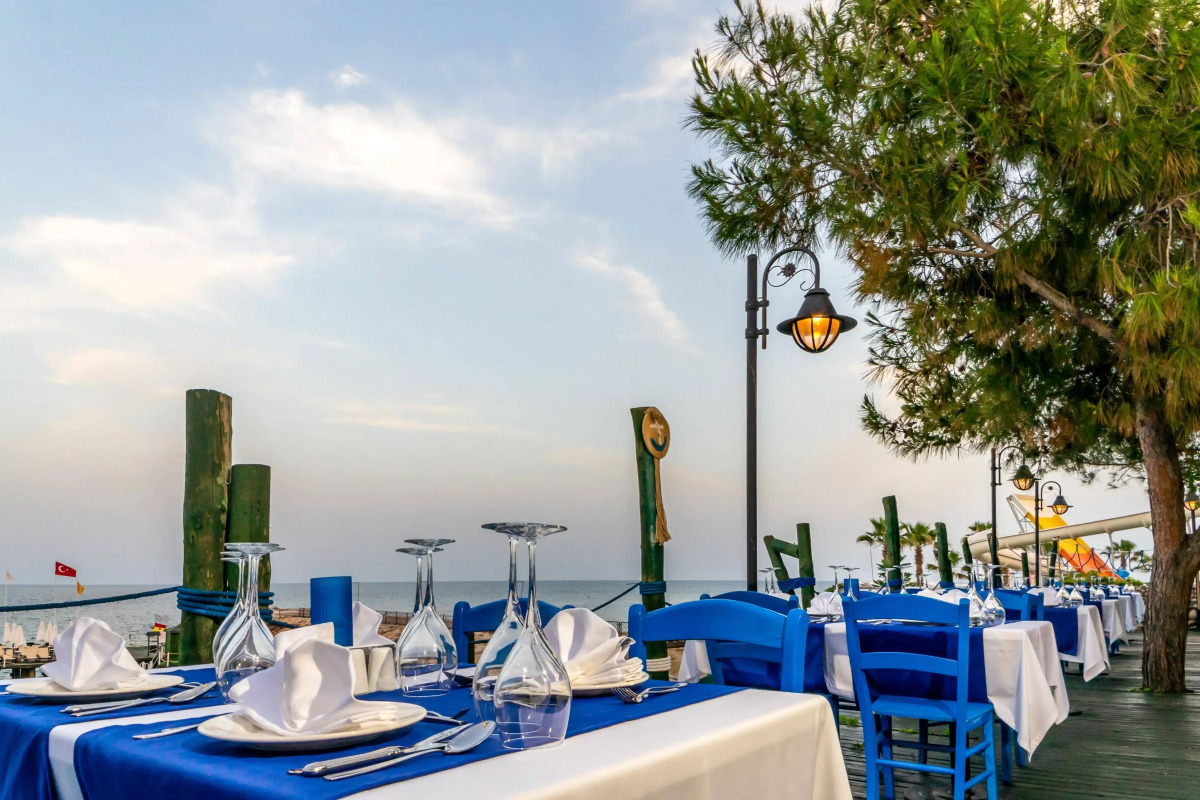 Gypsophila Club Marine