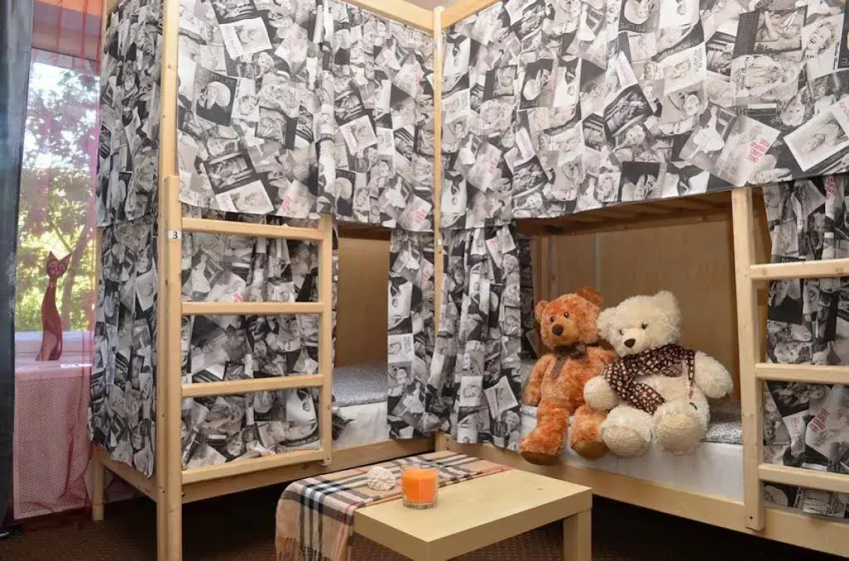 Хостел «Тедди»