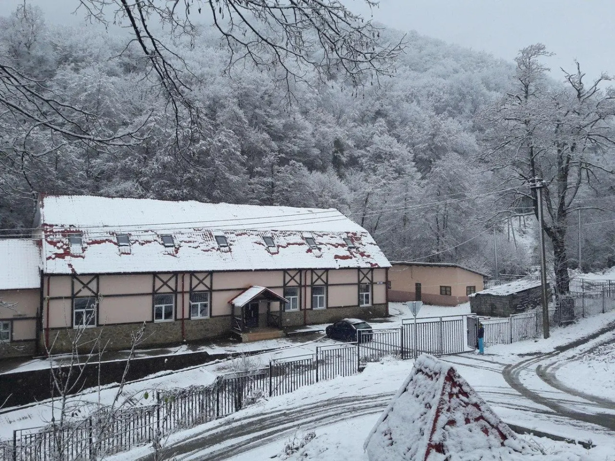 Арт-хостел Ёлки