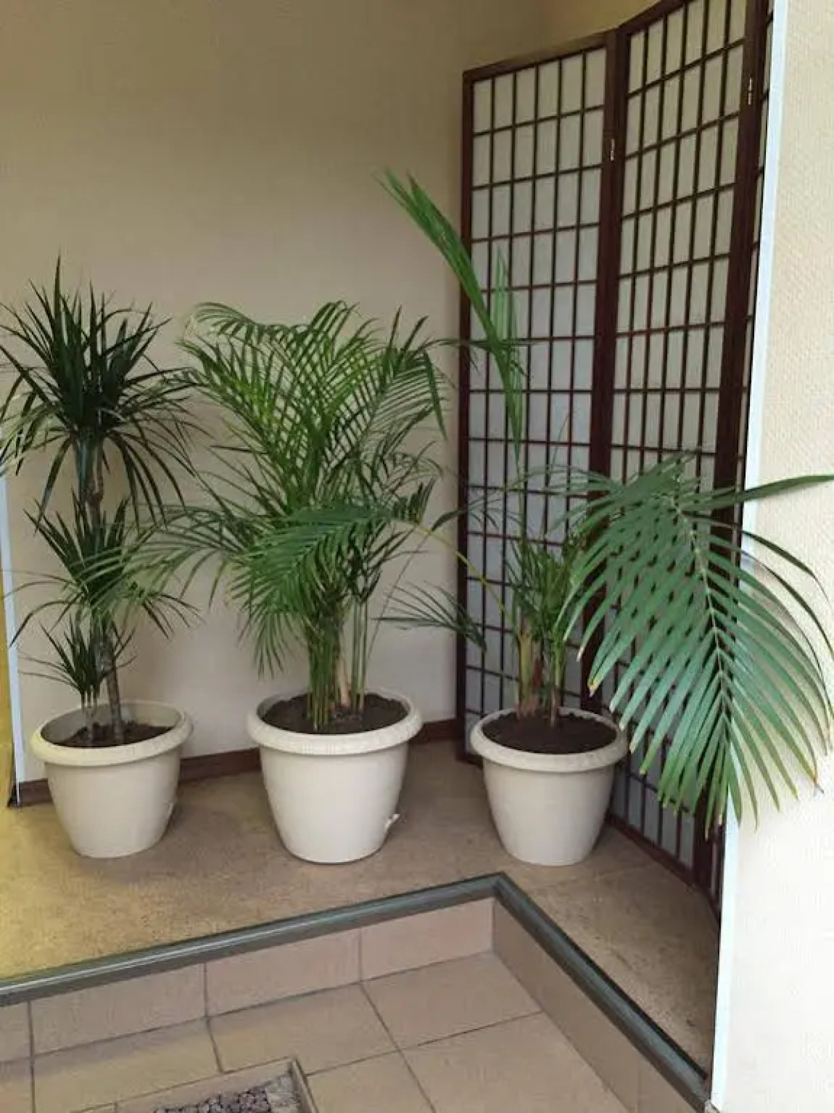 Мини-отель 5rooms