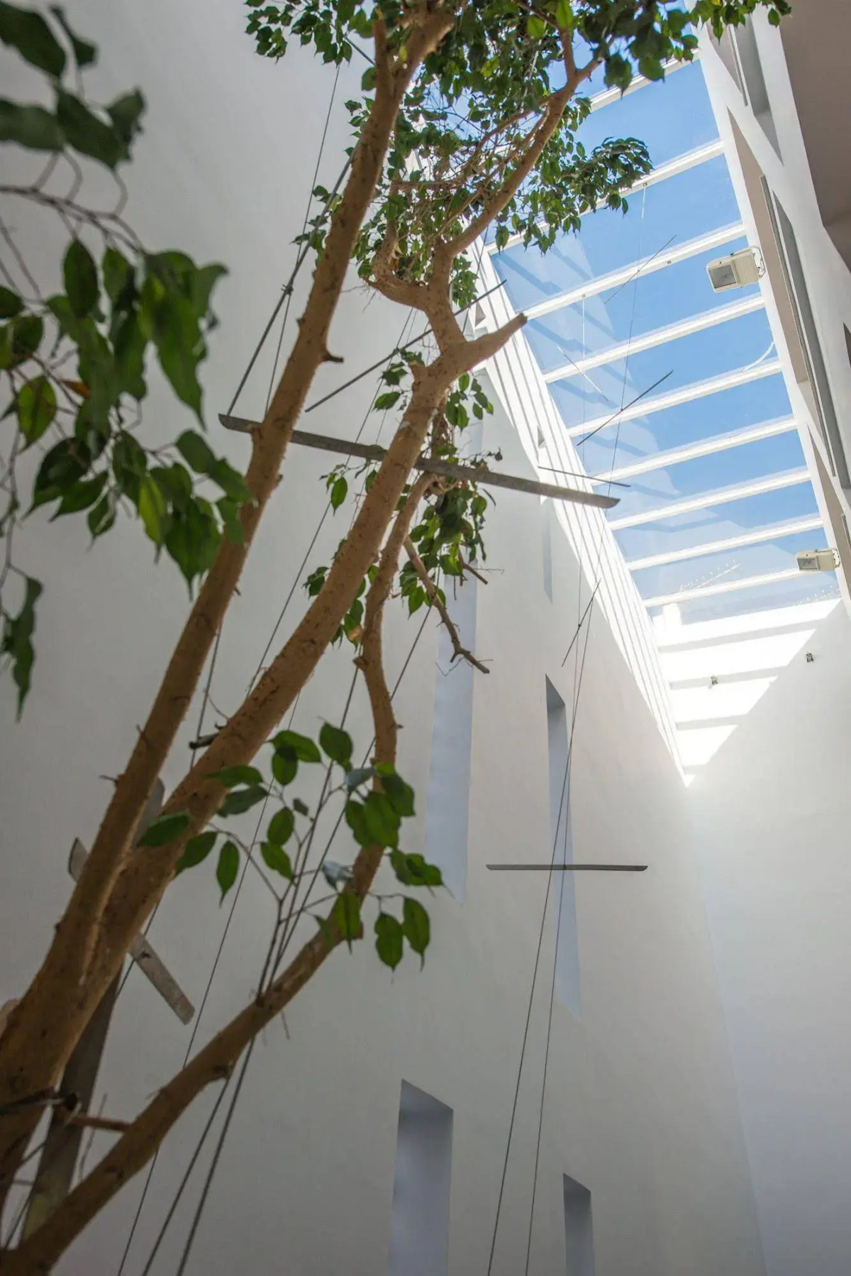 Avra City Boutique Hotel