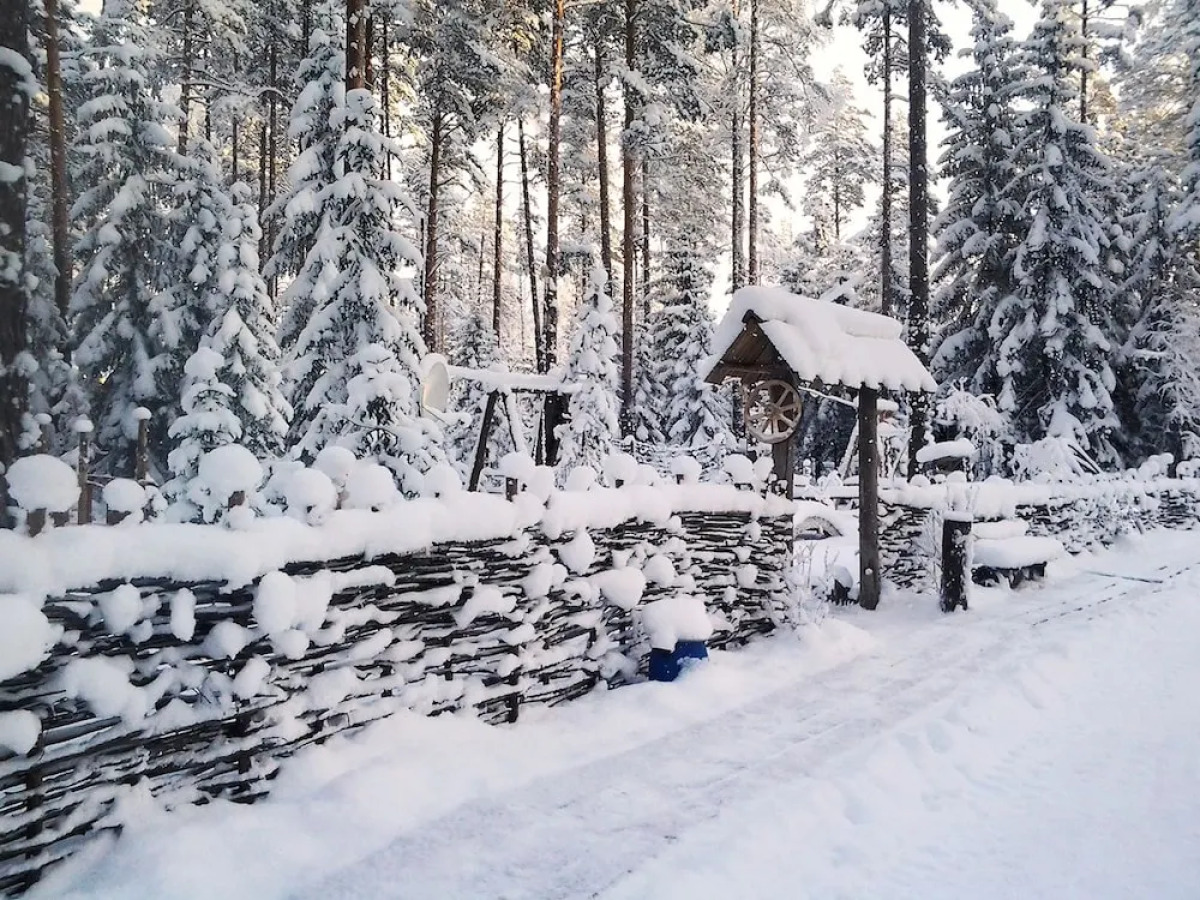 Отель «Шишки на Лампушке — Русская деревня»