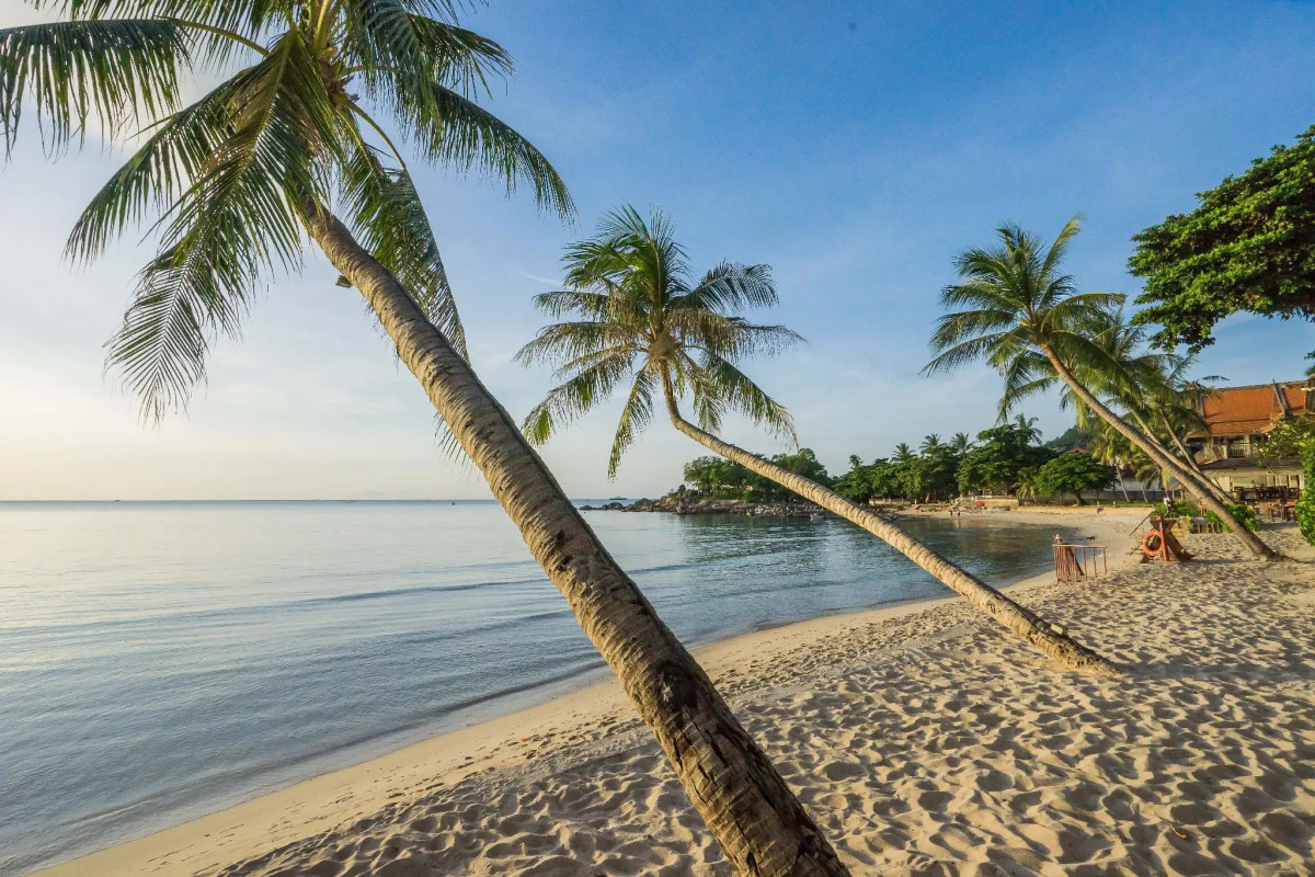 Samui Paradise Chaweng Beach Resort 