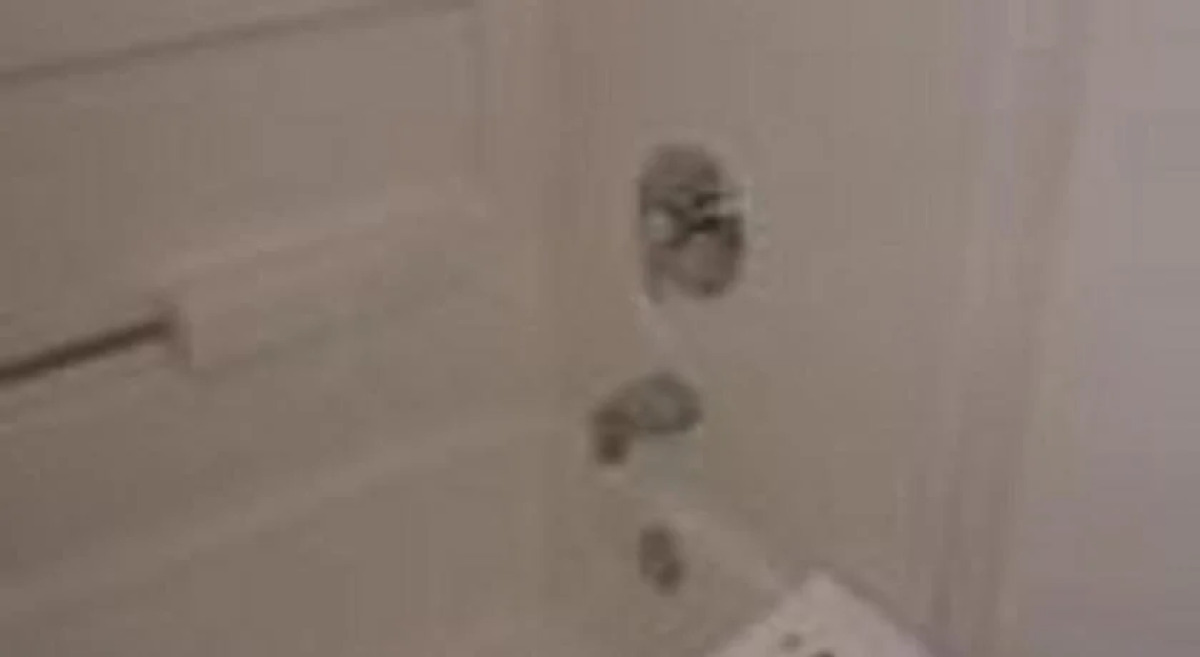 Vienna Wolf Trap Hotel