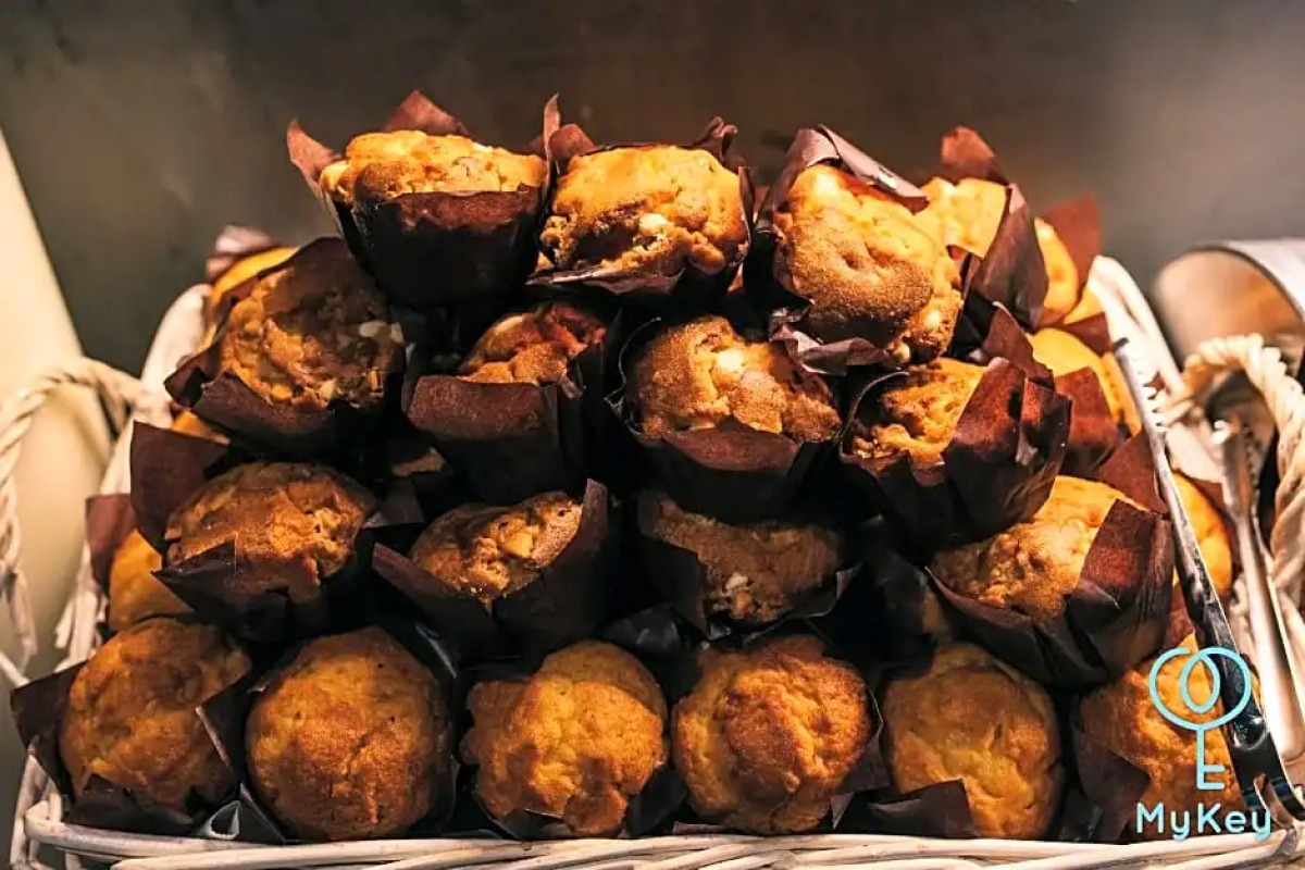 Expressionz Professional Suites by MyKey