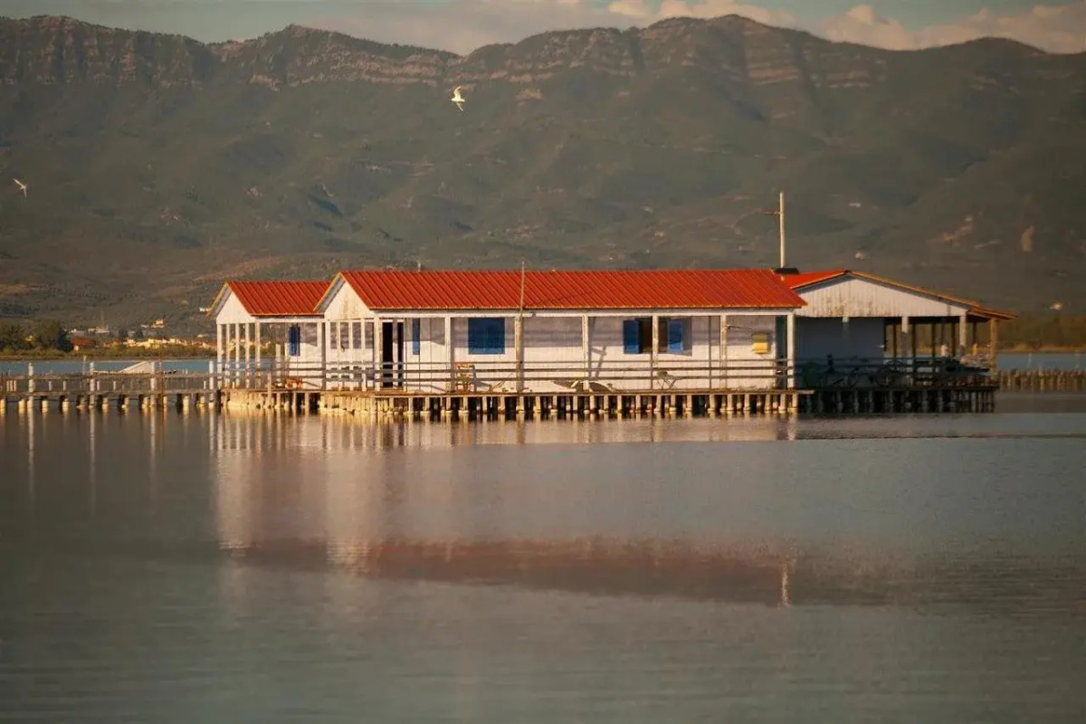 Theoxenia Messolonghi