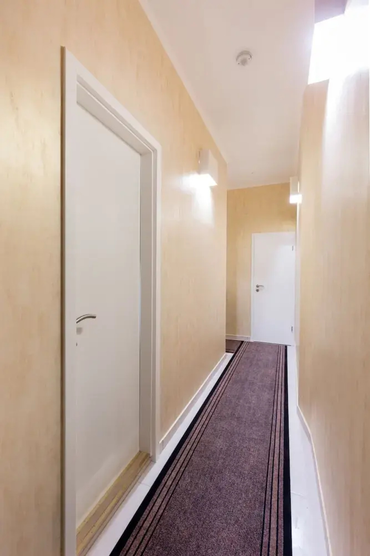 Budapest Holiday Colours