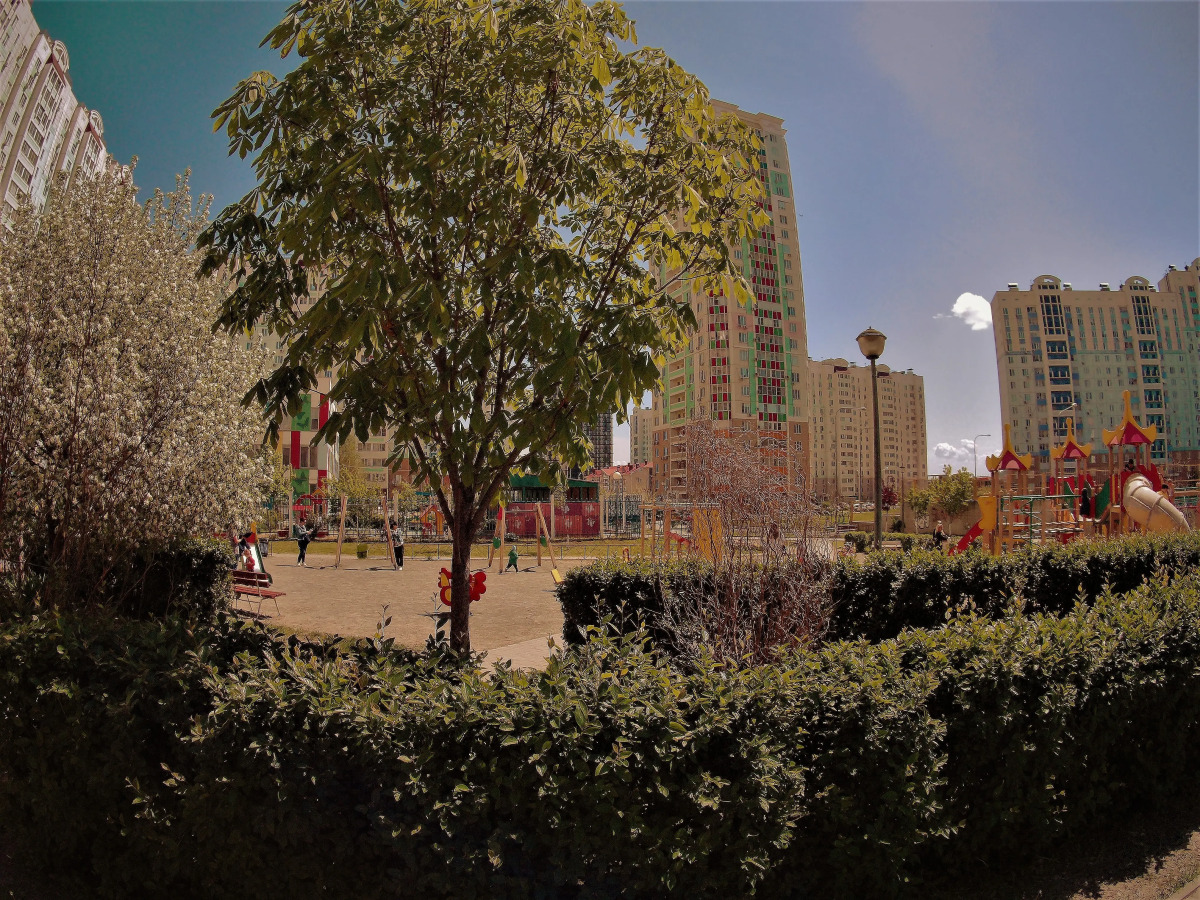 Апартаменты Жданова 7/33