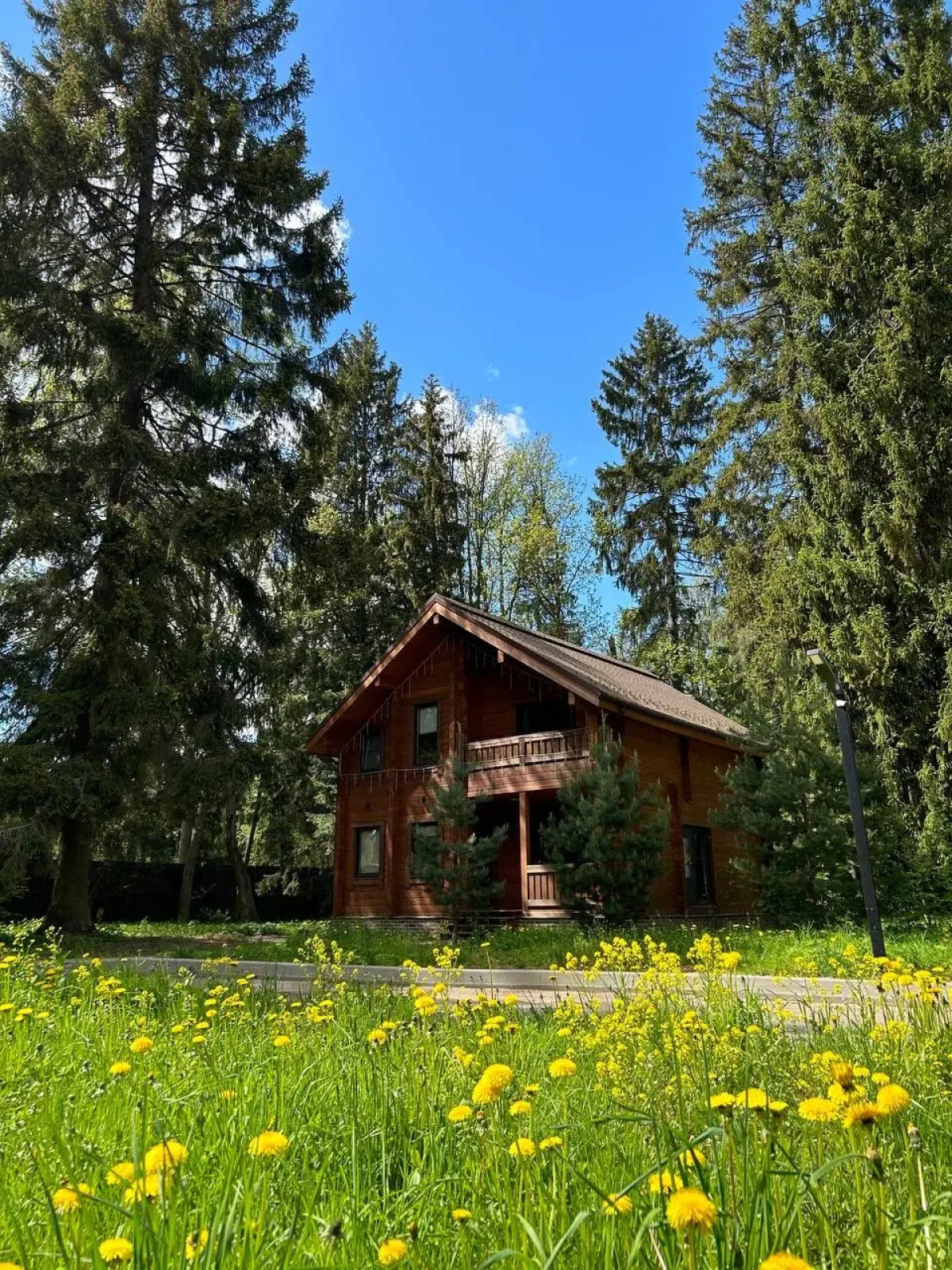 Отель Ruza Forest