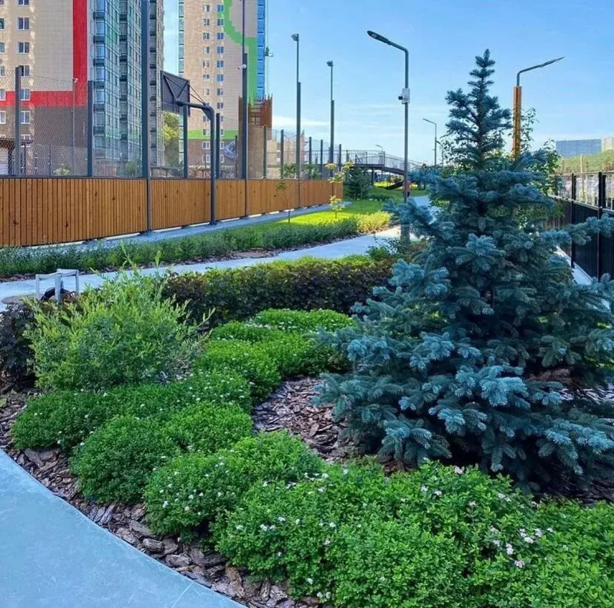 Апартаменты с Видом на Лес и Море