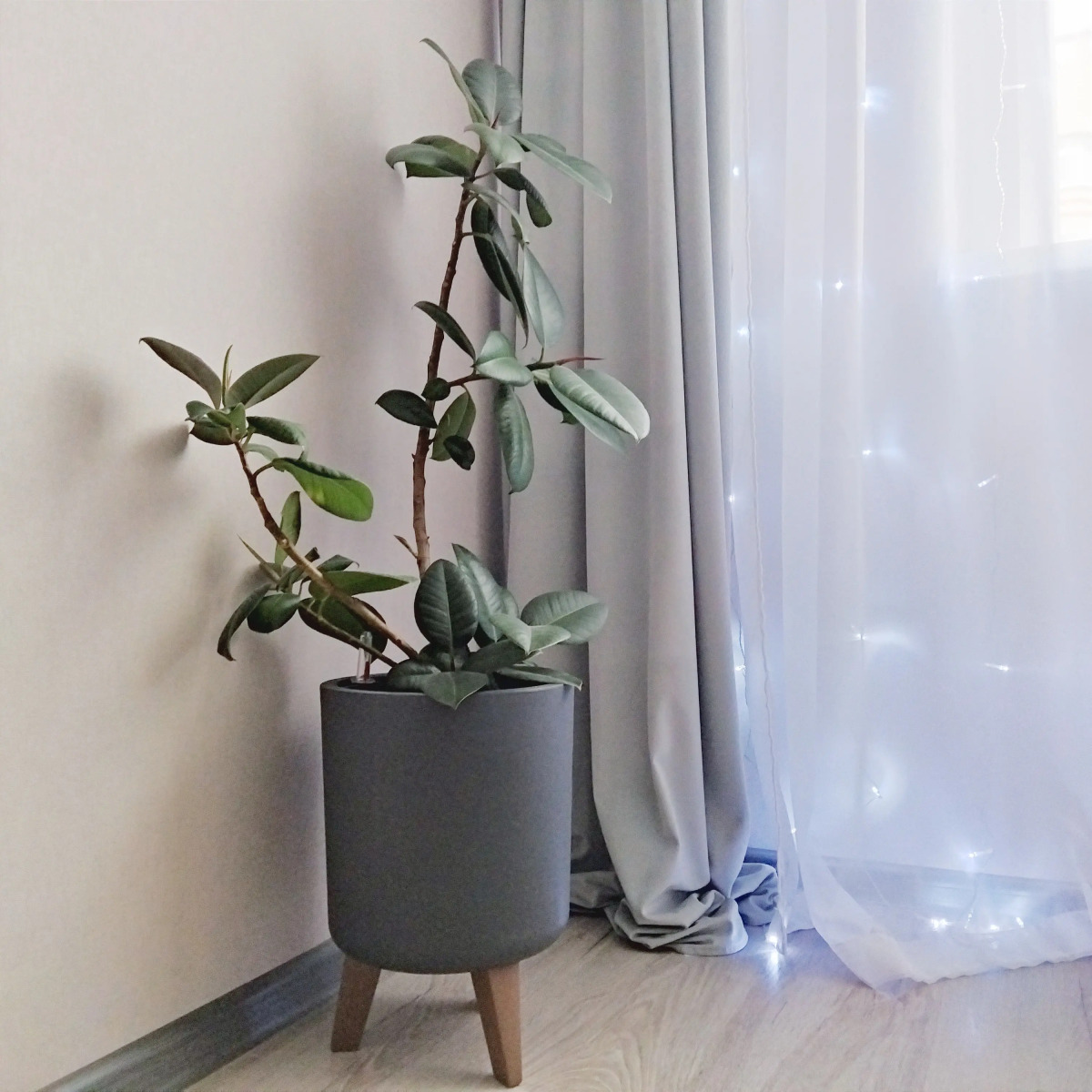 Квартира Эстетик рент