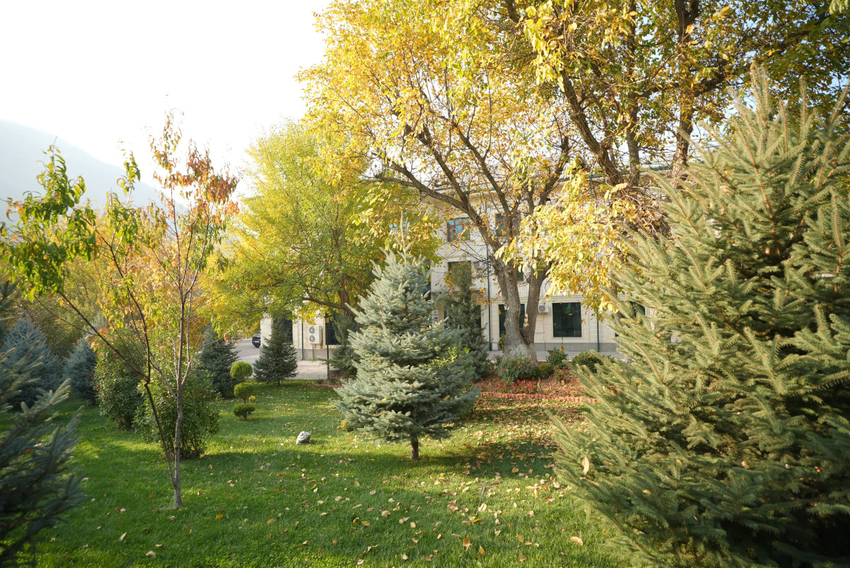 Wellmore Resort Hotel Charvak