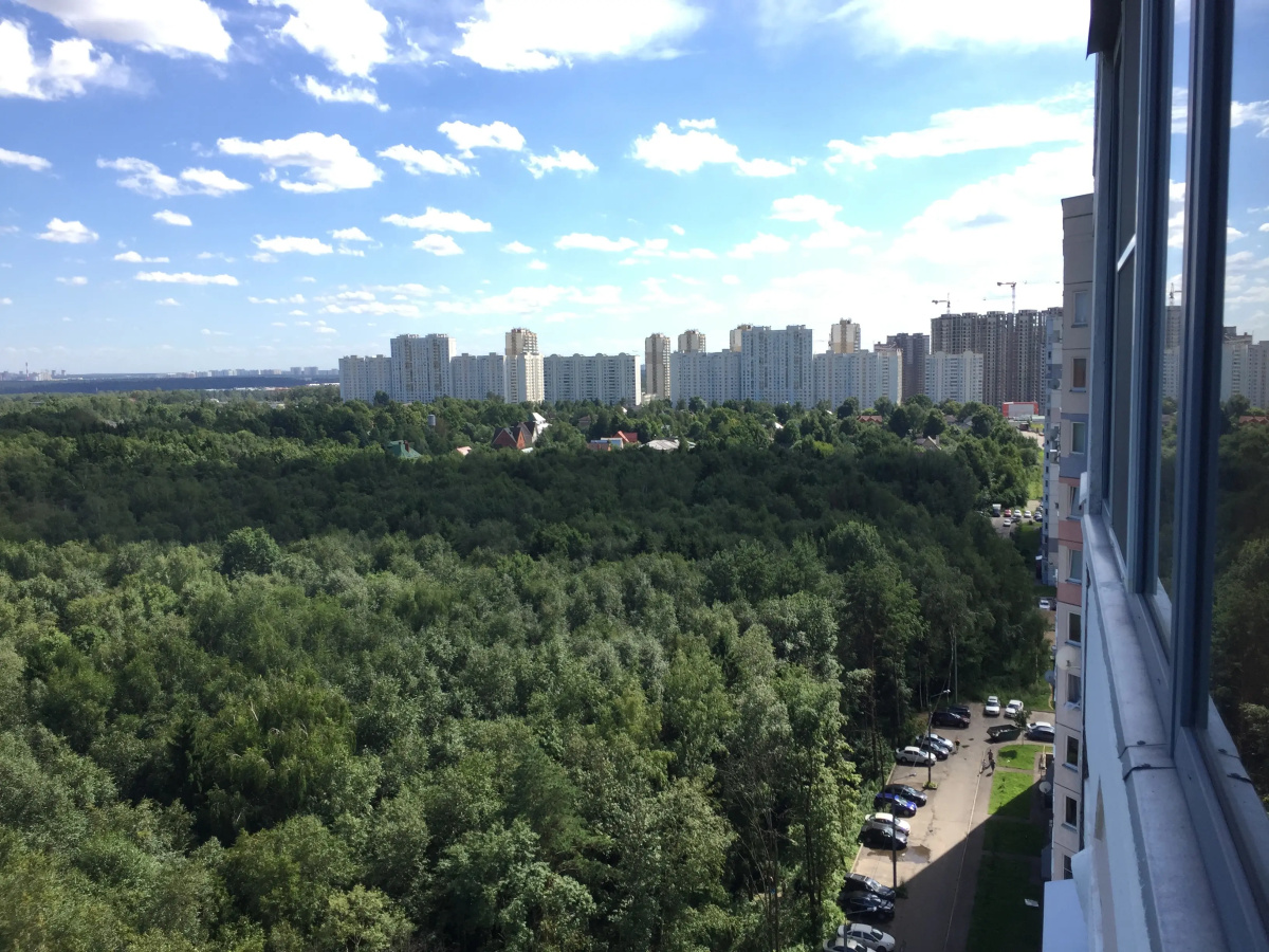 Апартаменты Истоман 2+2 с видом на Лес