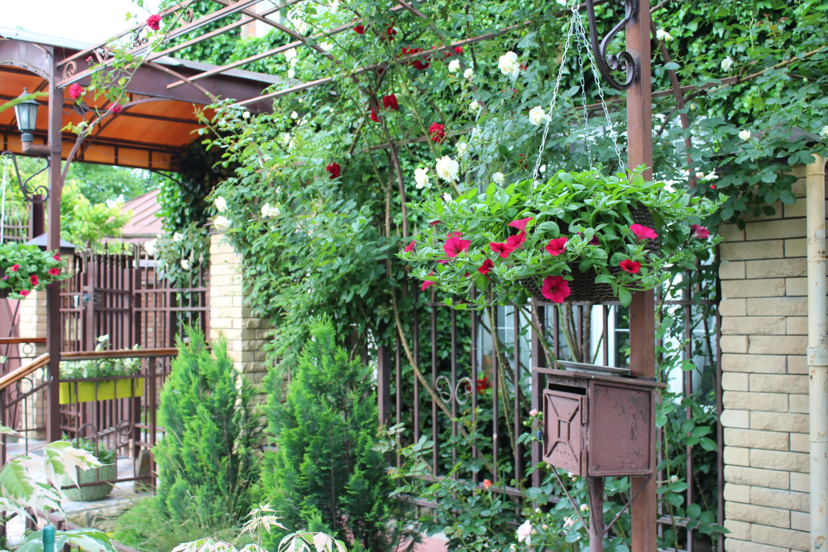 Гостевой дом У Друзей