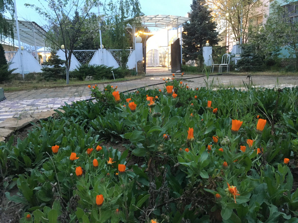 Отель Причал