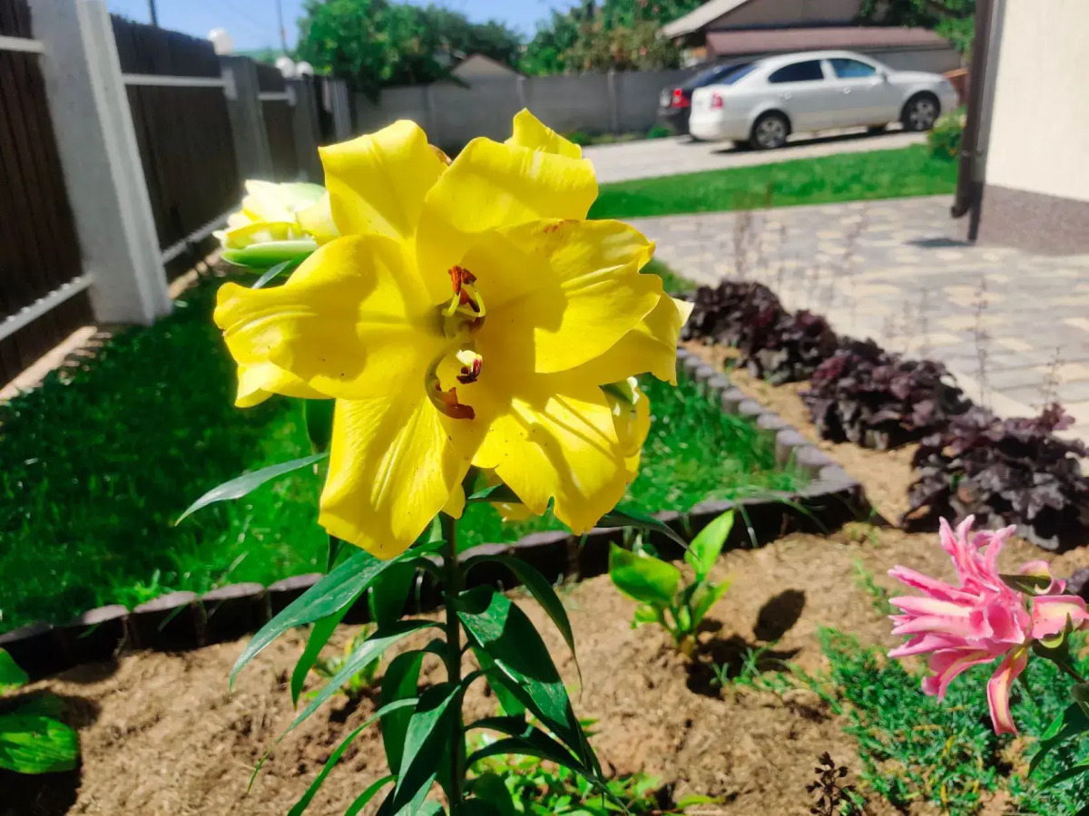 Гостевой дом Emerald на Фиоленте