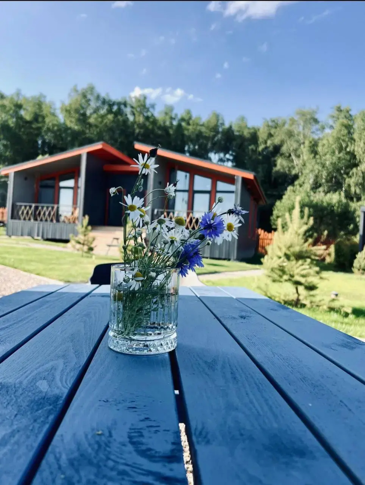 Глэмпинг Ruza River Club