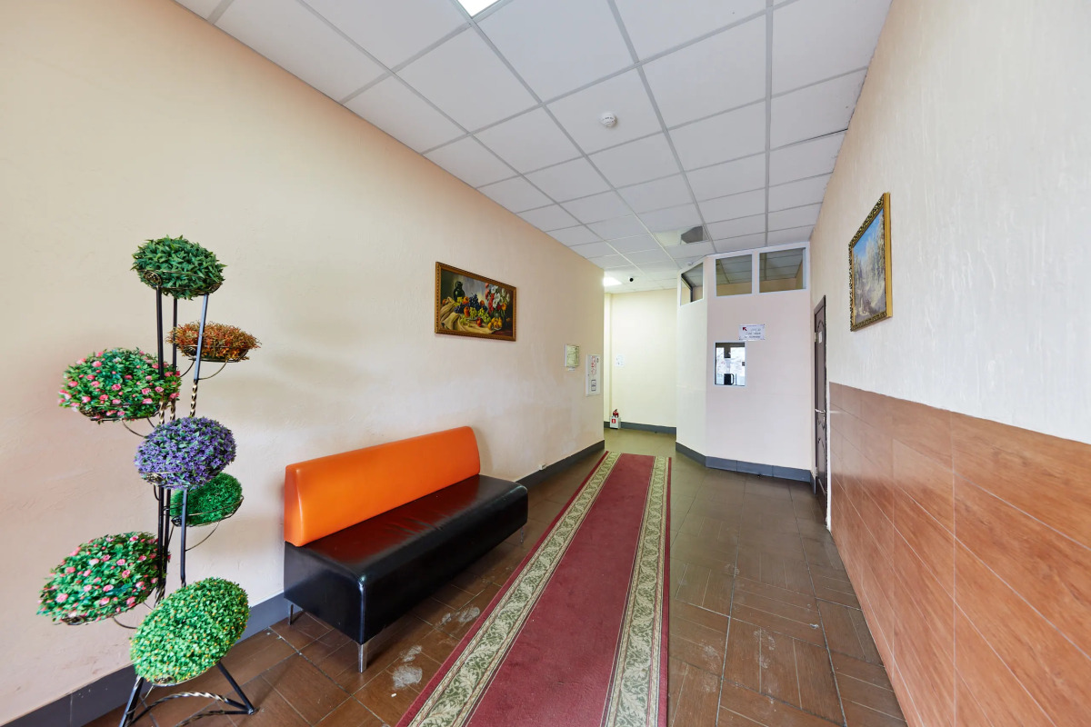 Автор Братиславская