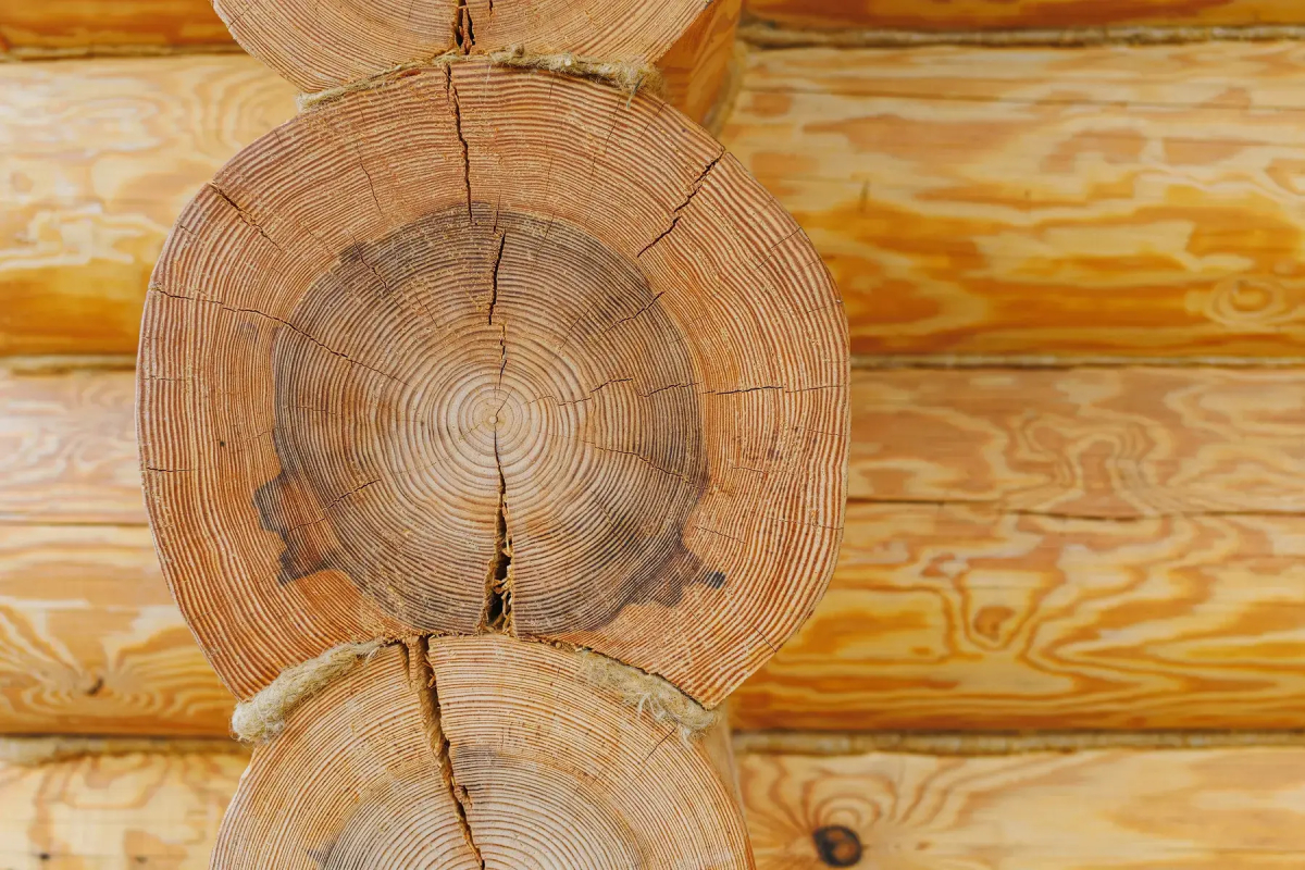 Гостевые дома Усадьба скульптора Эрьзи с фермой