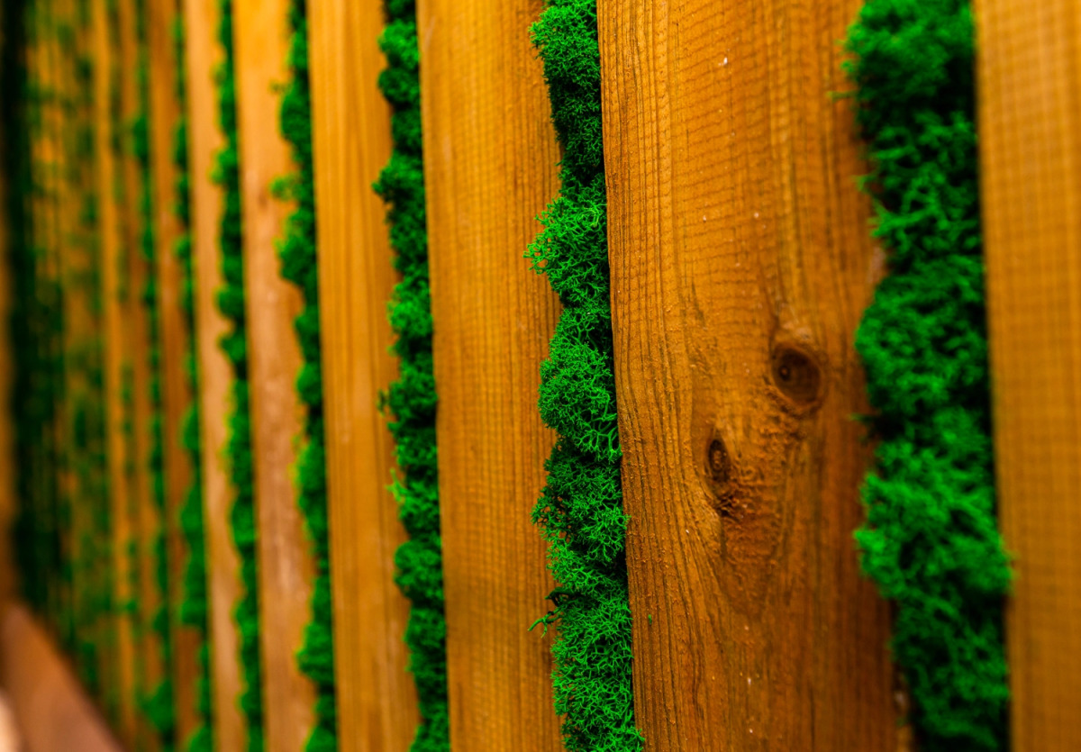 Апартаменты ЖК Ландыши 209/1