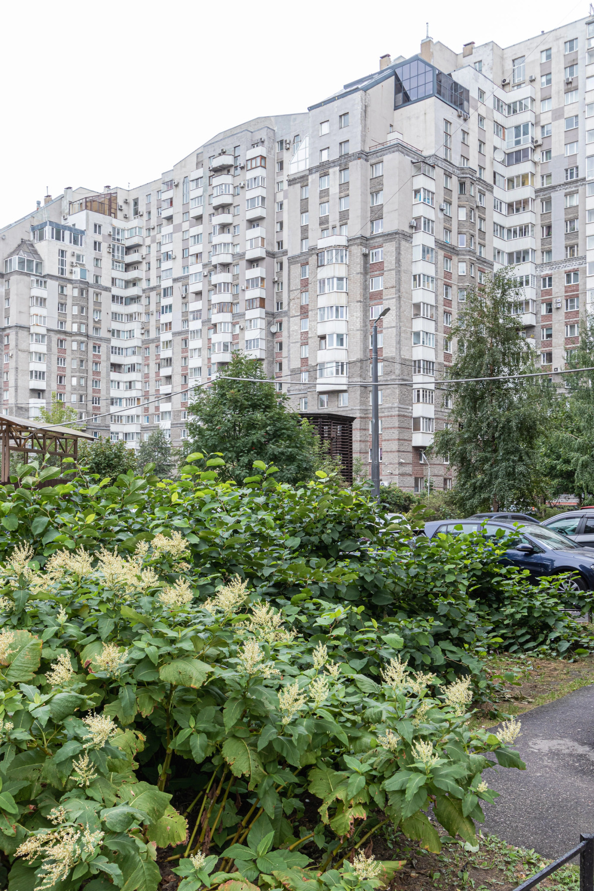 Квартира Cotton Blue Apart