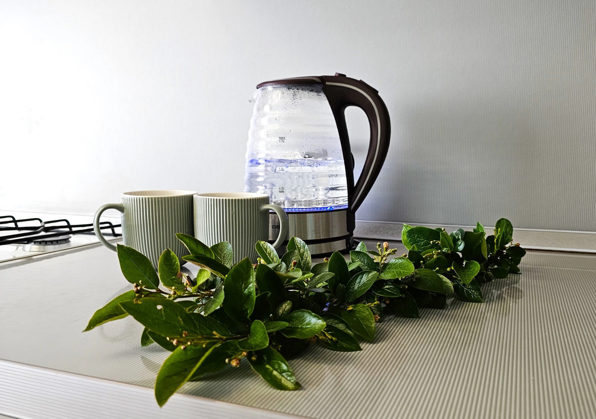 Апартаменты на Завокзальной 12