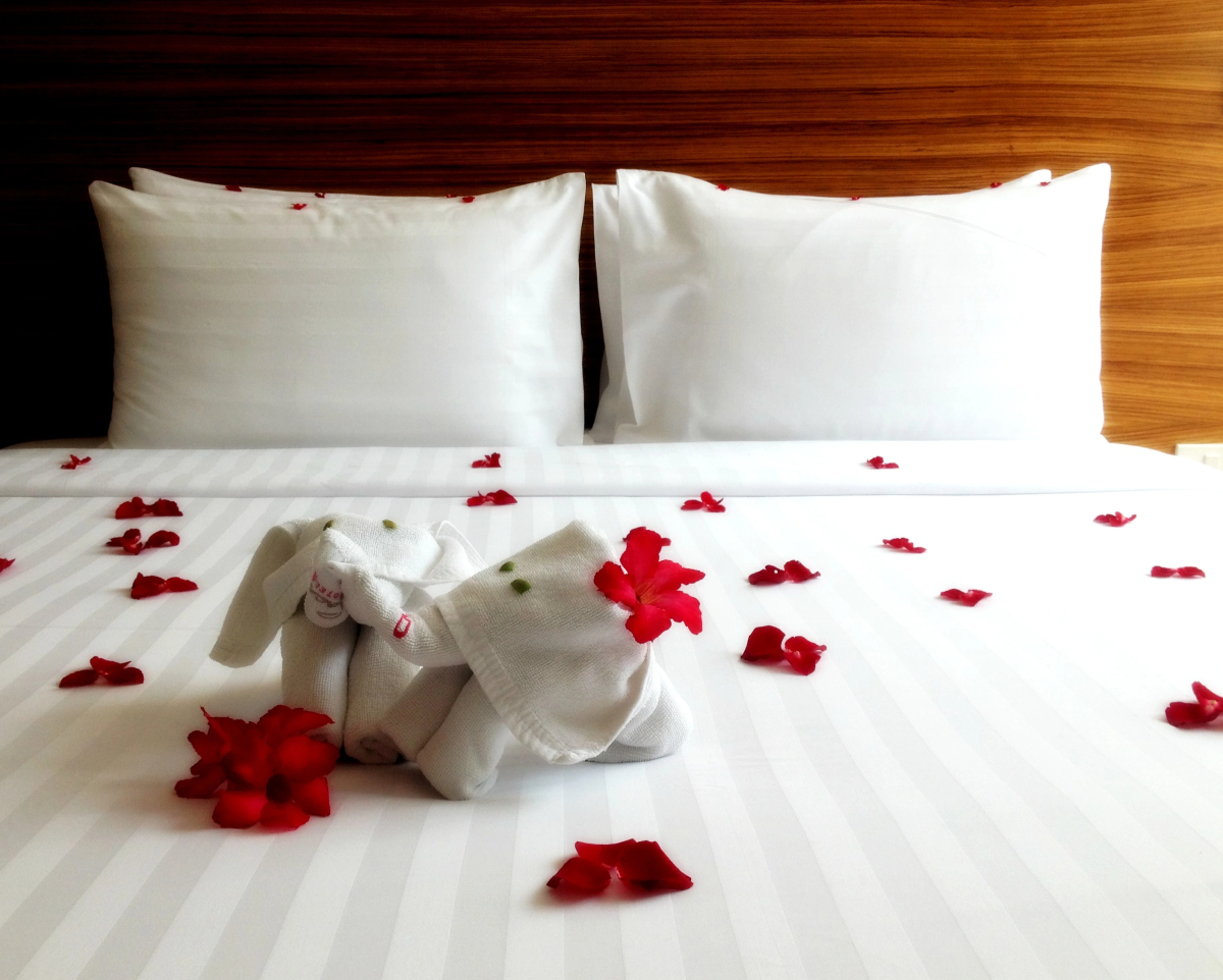 Отель Sacha's Hotel Uno