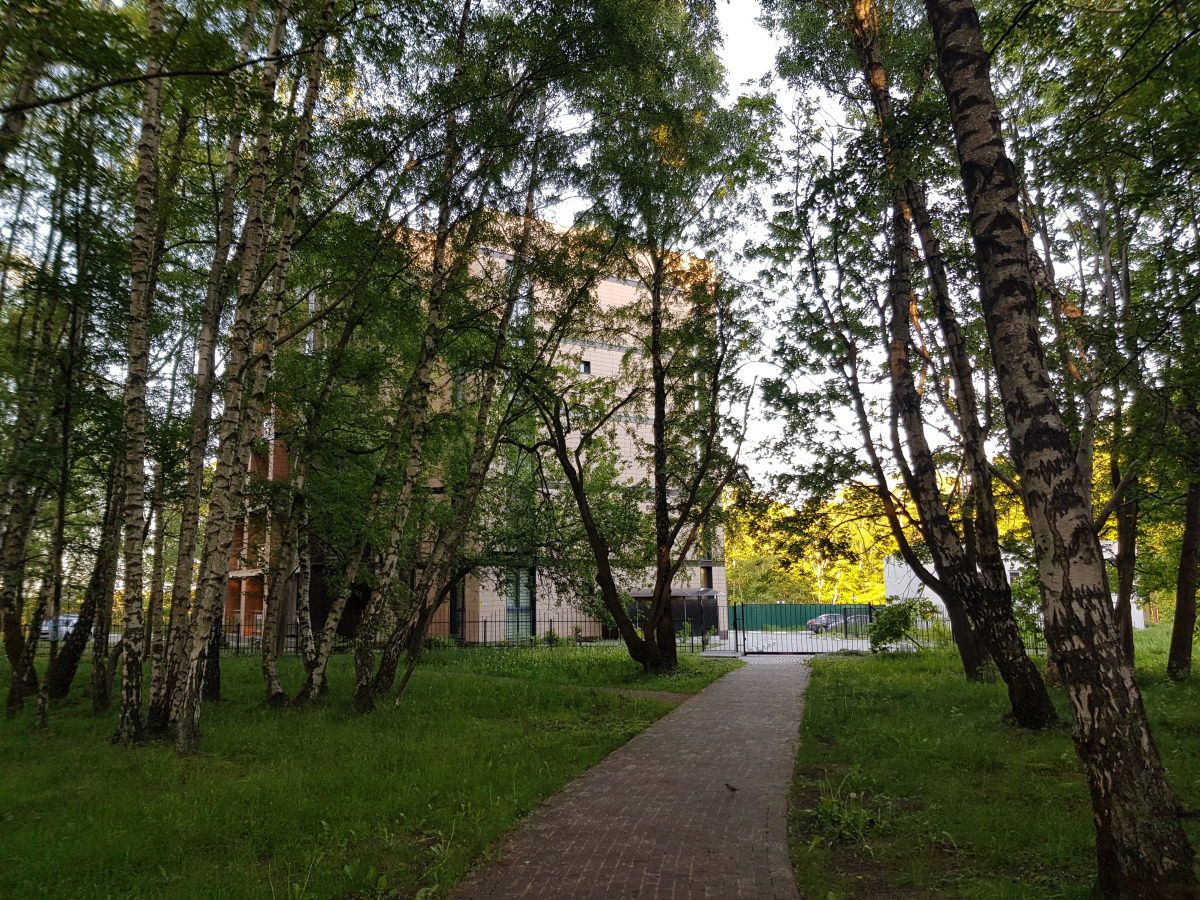 Апартаменты у Балтийского моря в Светлогорске