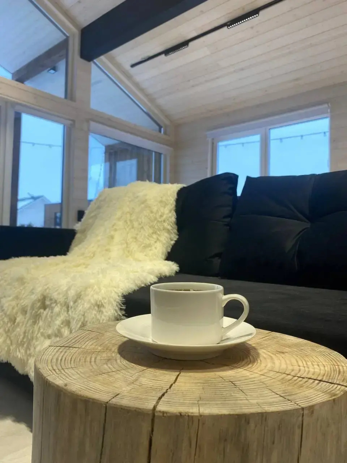 Частный дом Барн-хаус с сауной и чаном