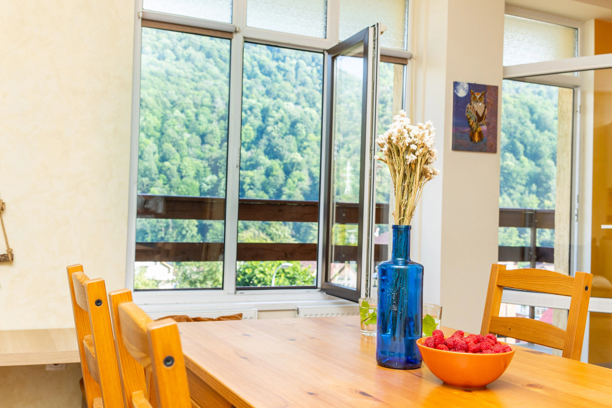 Апартаменты семейные с видом на горы