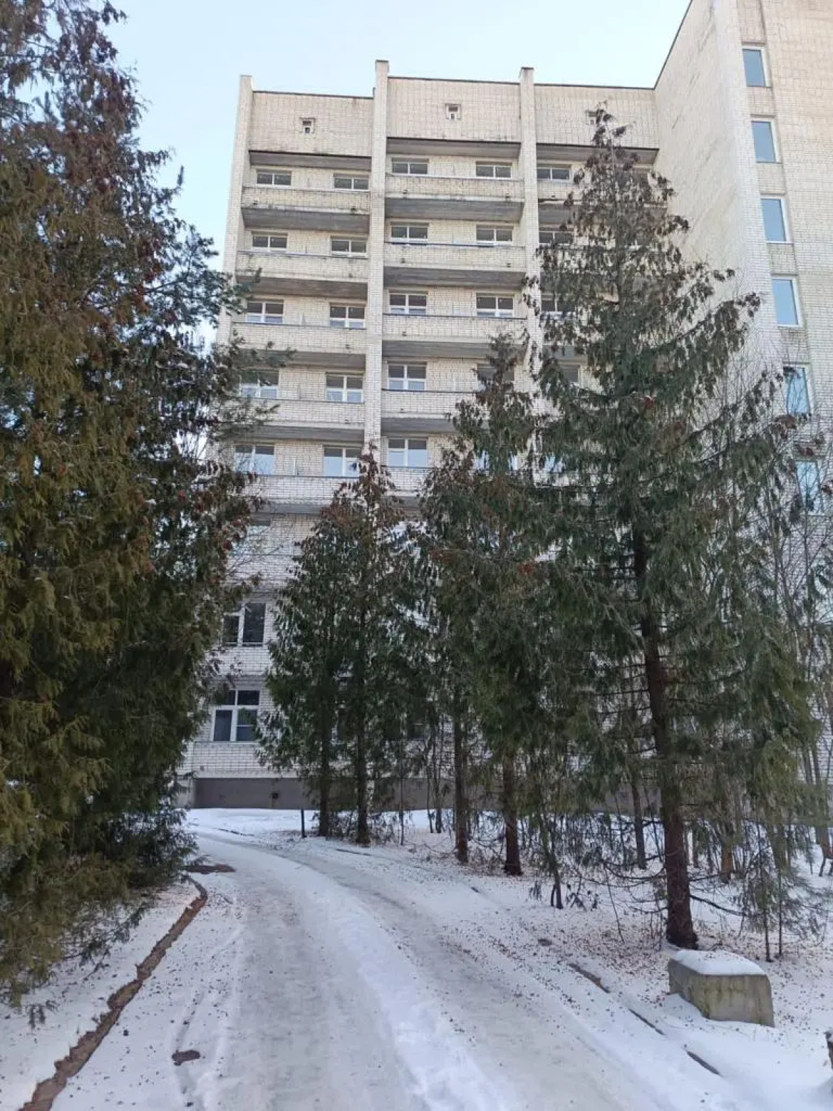 Отель Сосновый бор