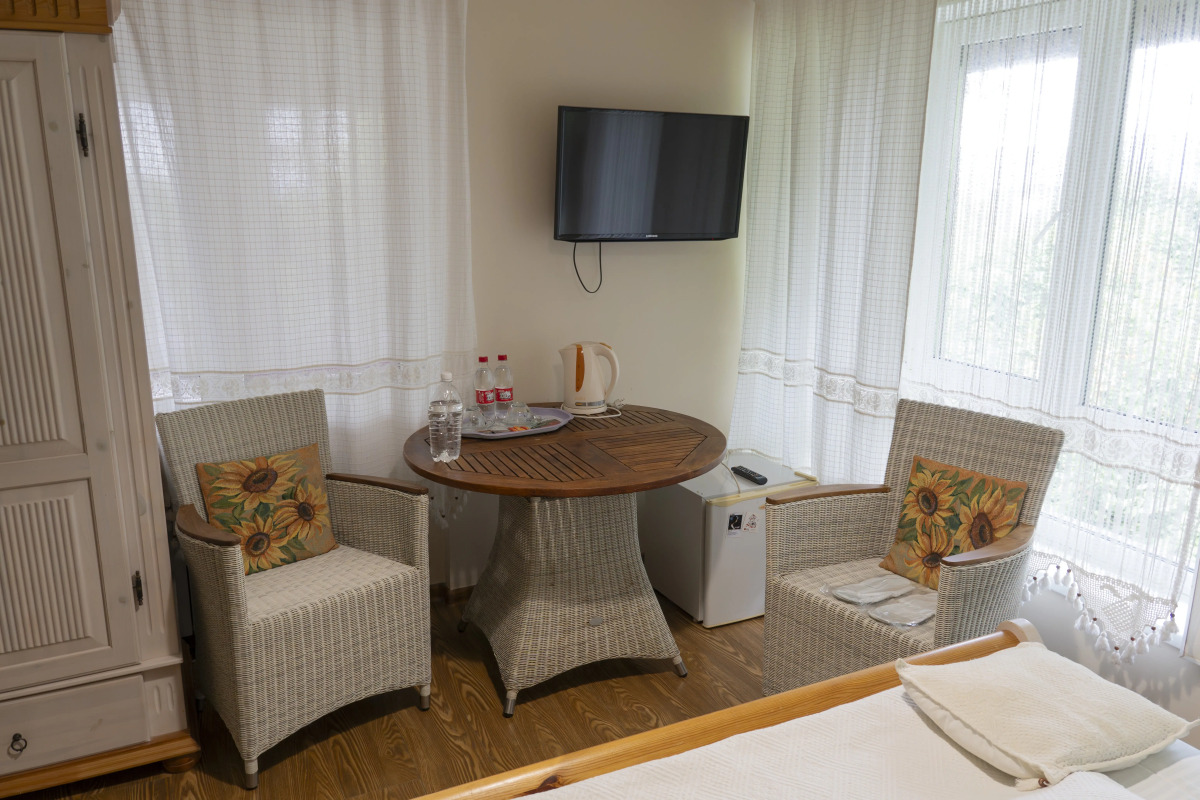 Гостевой Дом Золотой  Гусь