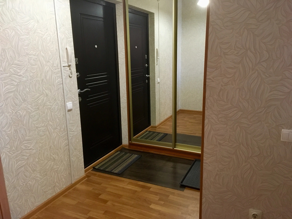 Апартаменты Однокомнатная квартира 71 Онегоhome у озера в Петрозаводске