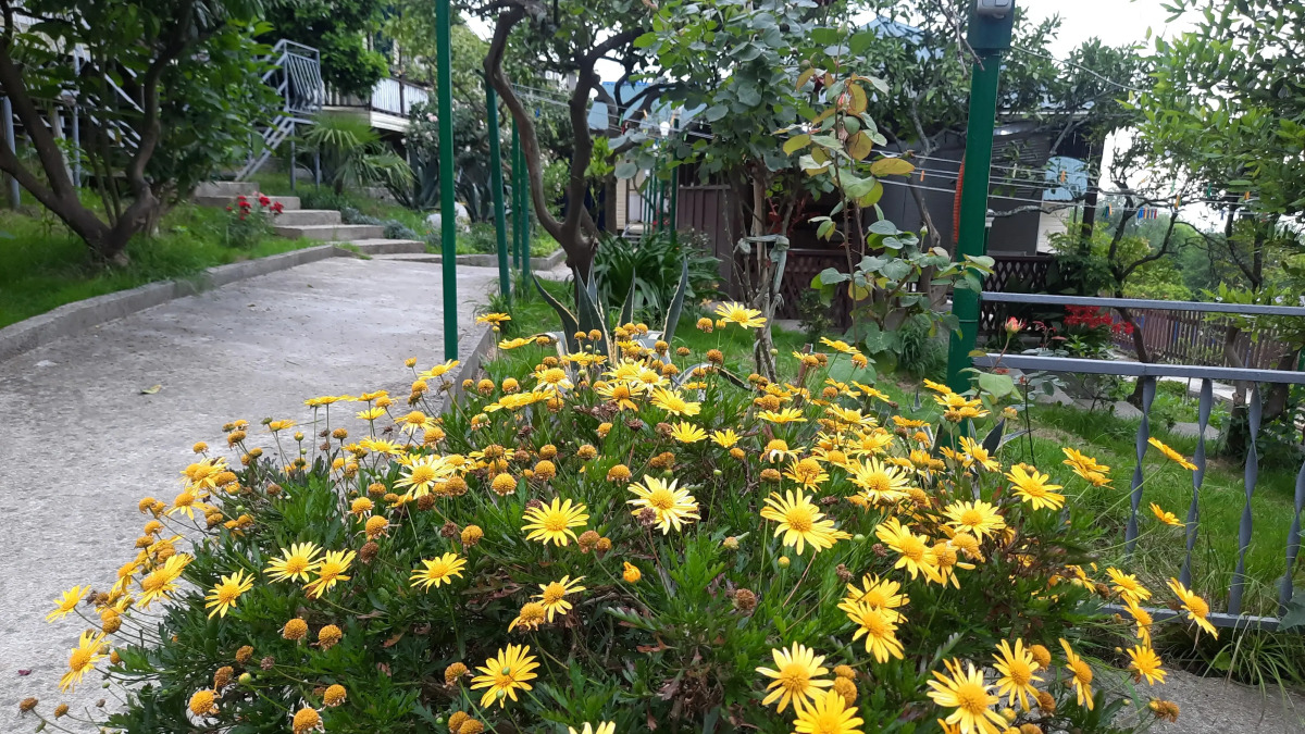 Гостевой дом Мандариновый Рай