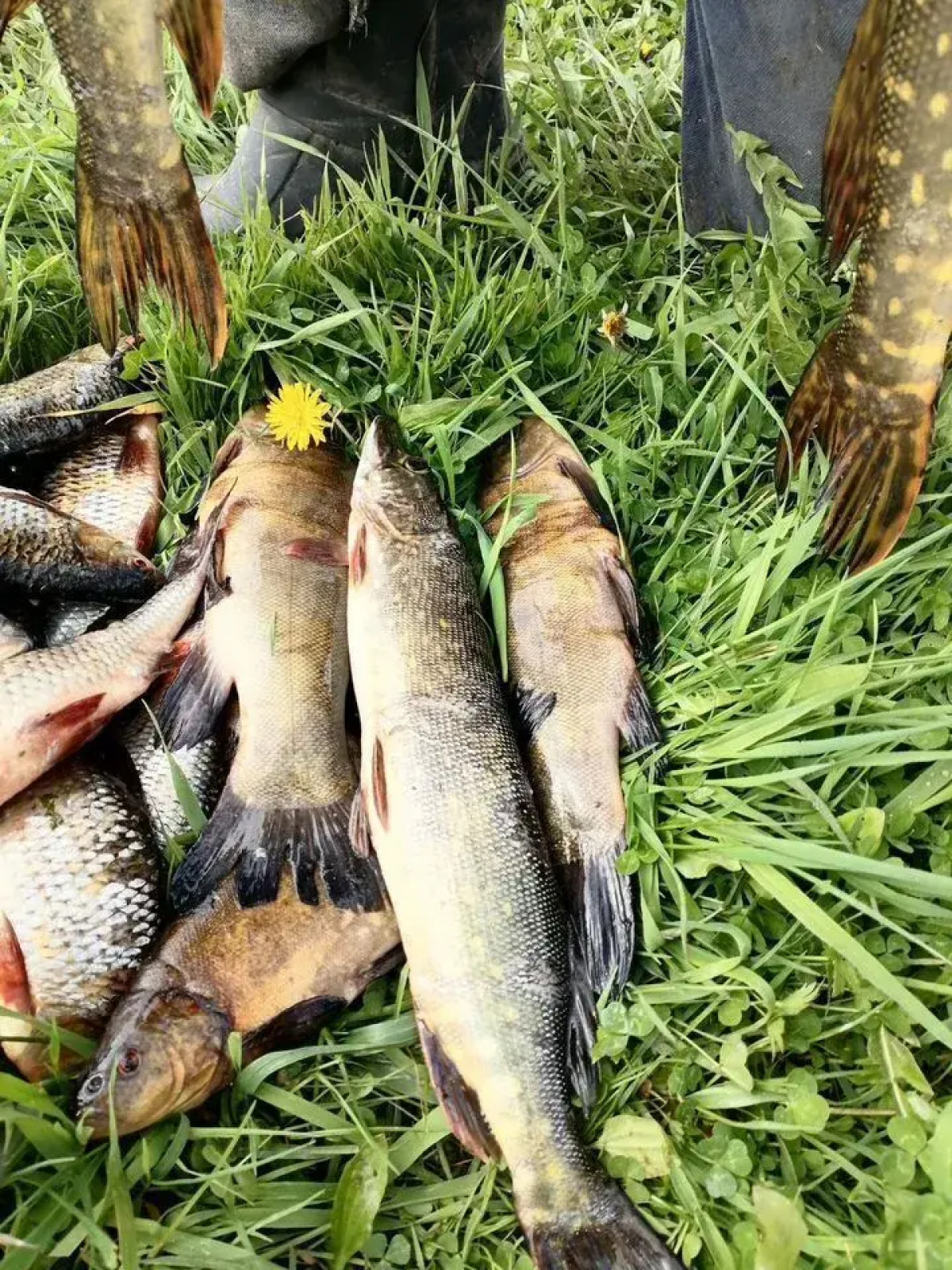 Частный дом На Берегу Озера