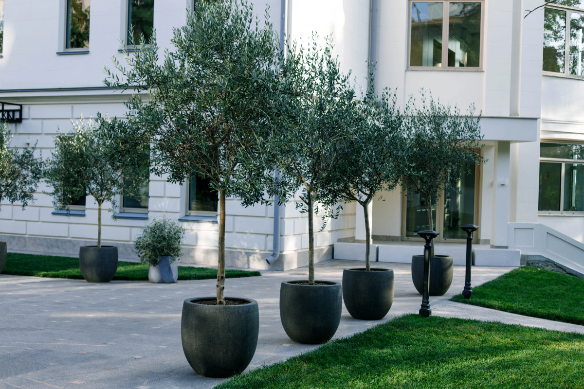 Комплекс апартаментов Grand Royal Residences