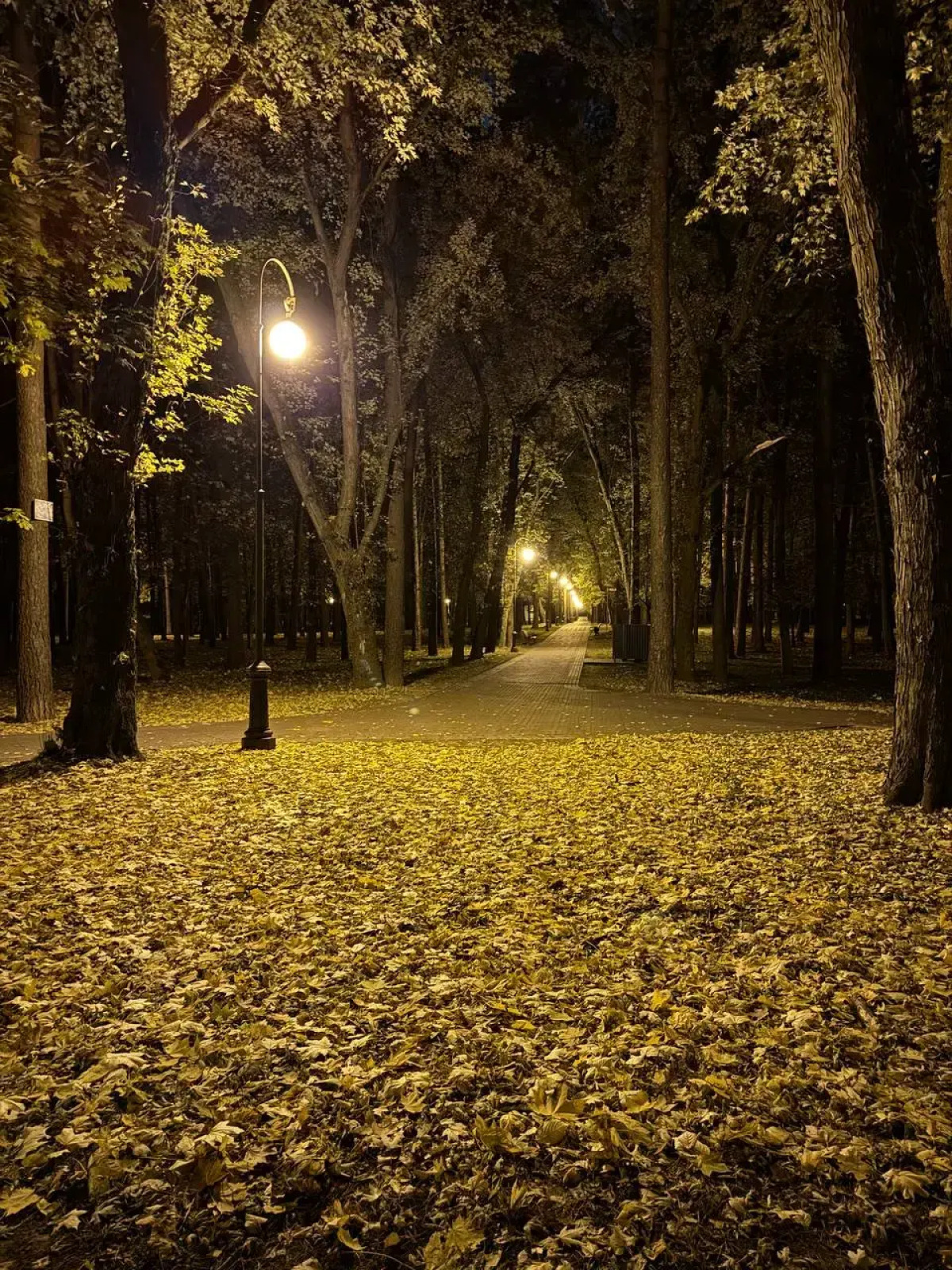 Апартаменты в ЖК Парк Челюскинцев