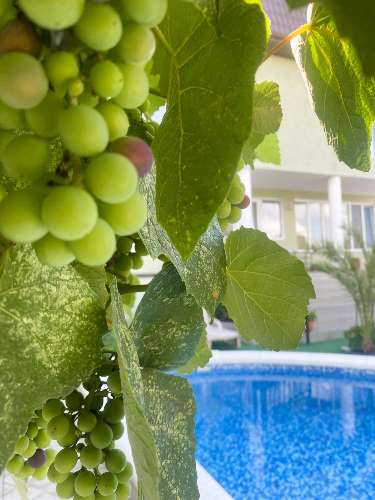 Гостевой дом Регион Море