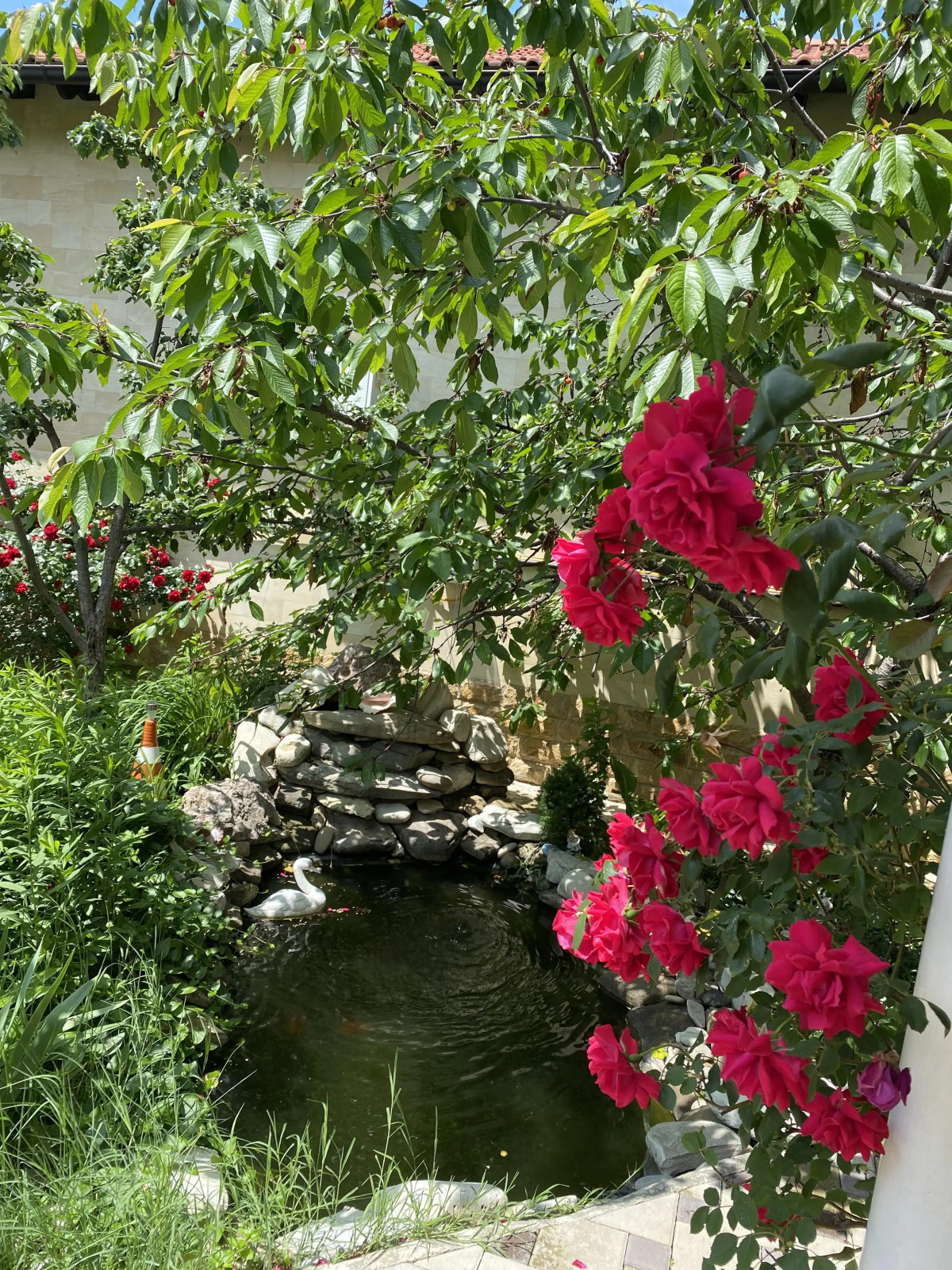 Гостевой Дом Белая Невесточка