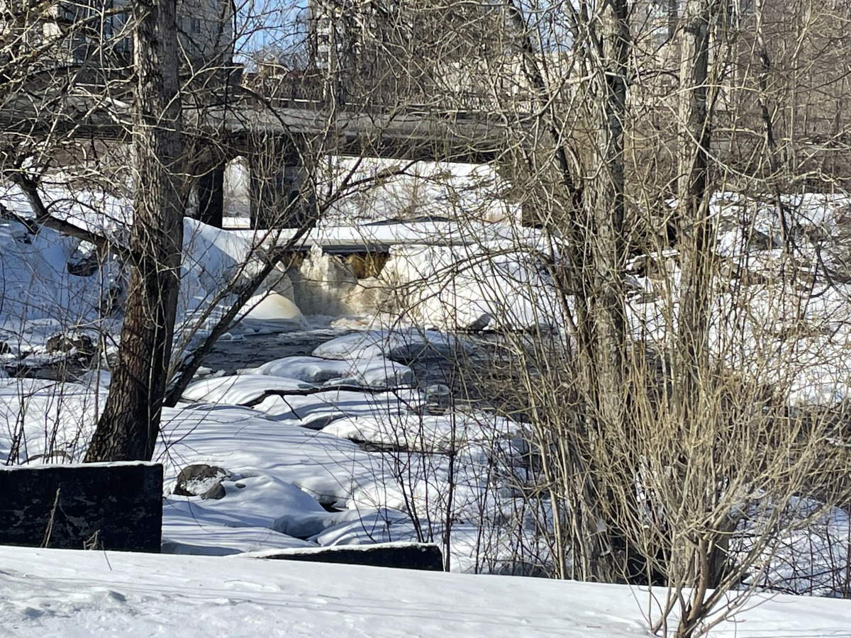 Апартаменты от Банного Клуба на Лесной