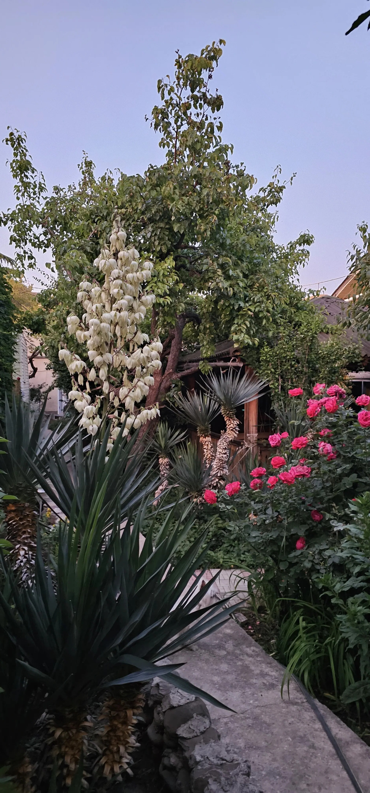 Гостевой Дом Янаки