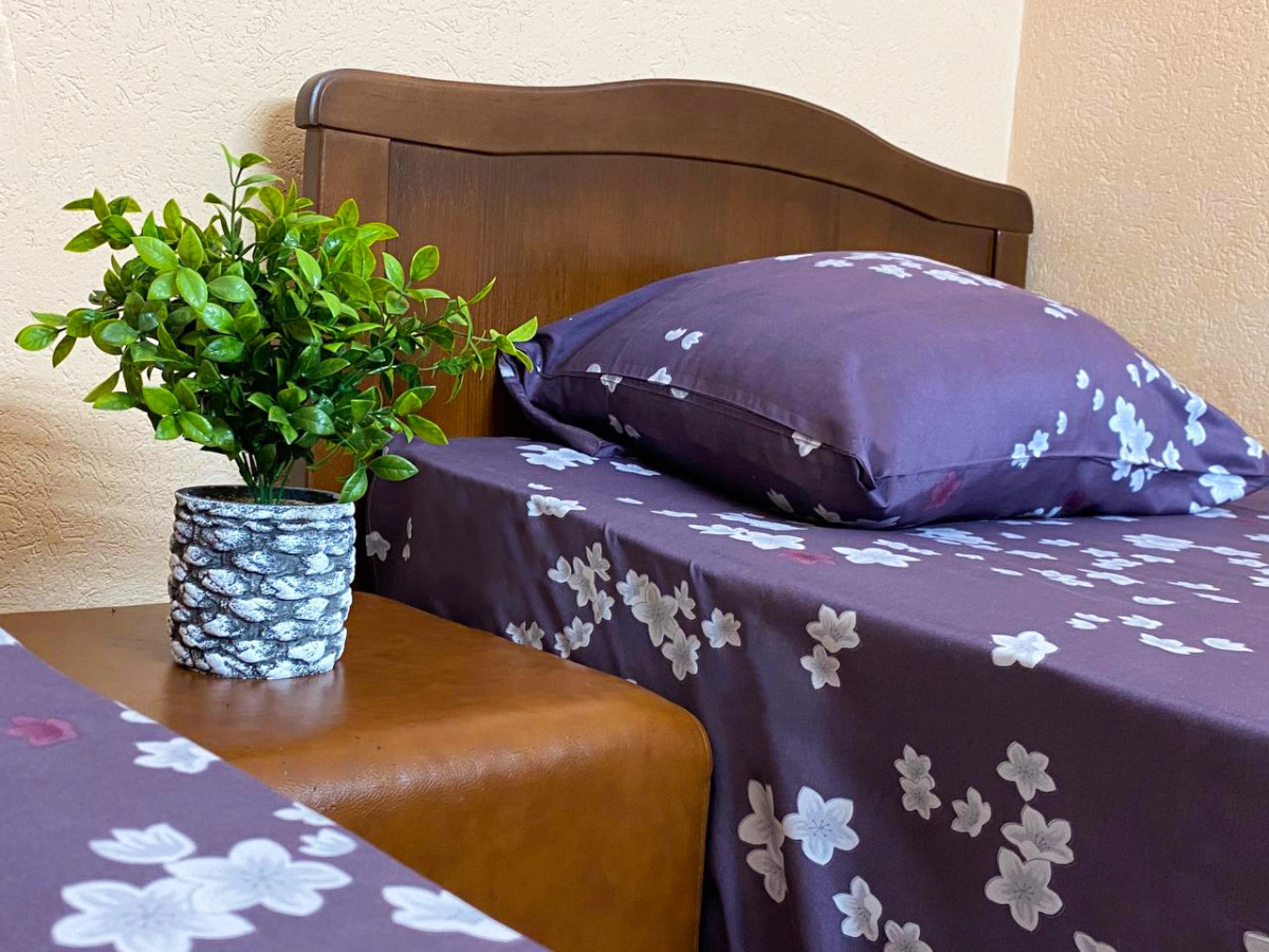 Гостевой дом Сакля