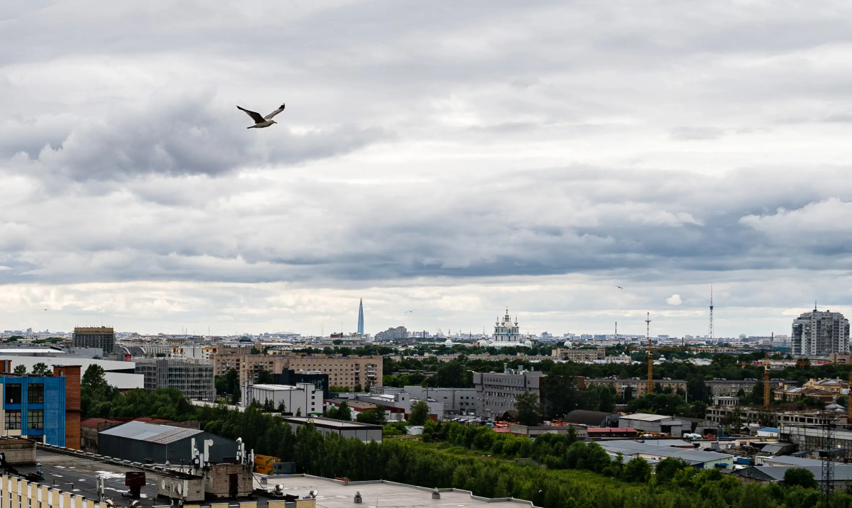 Апартаменты Ladozhsky Avenir