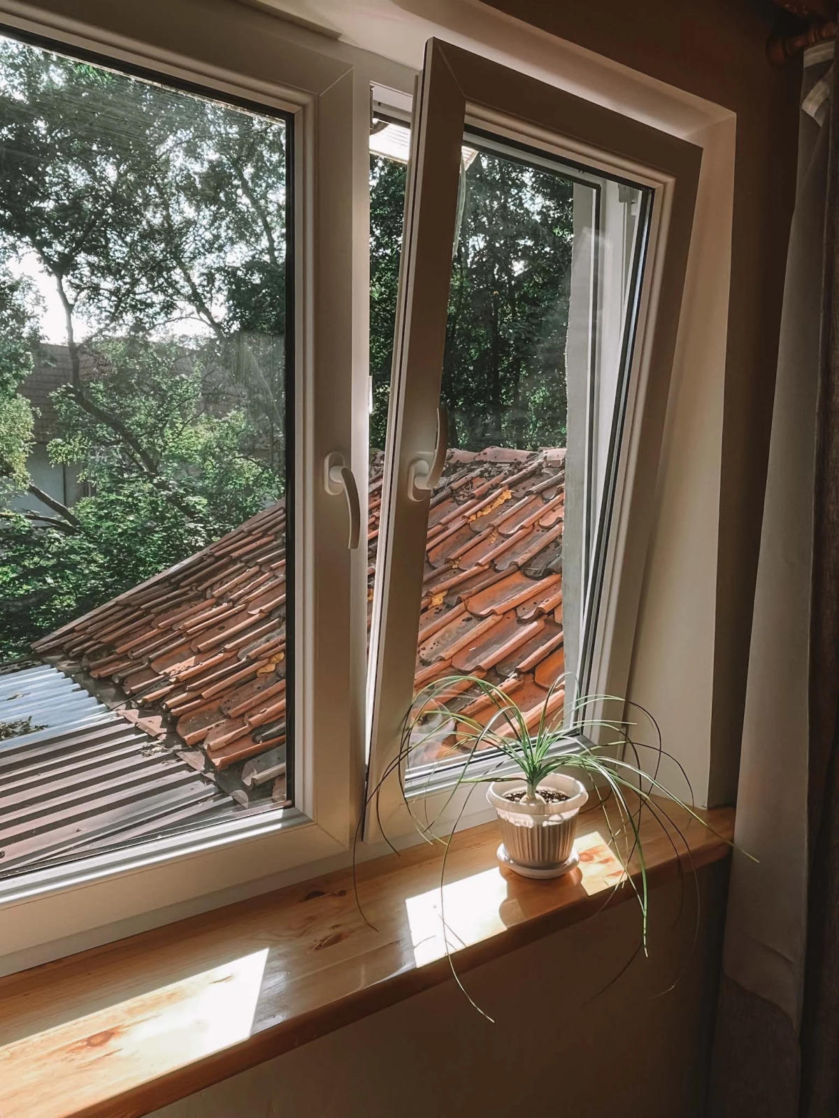 Квартира Двухкомнатная в Светлогорске