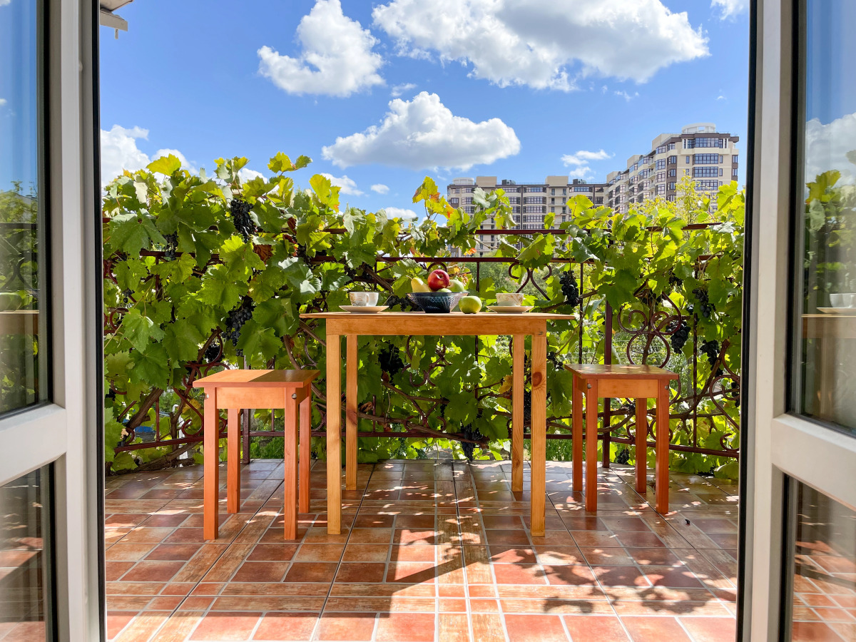 Гостевой дом Корсика