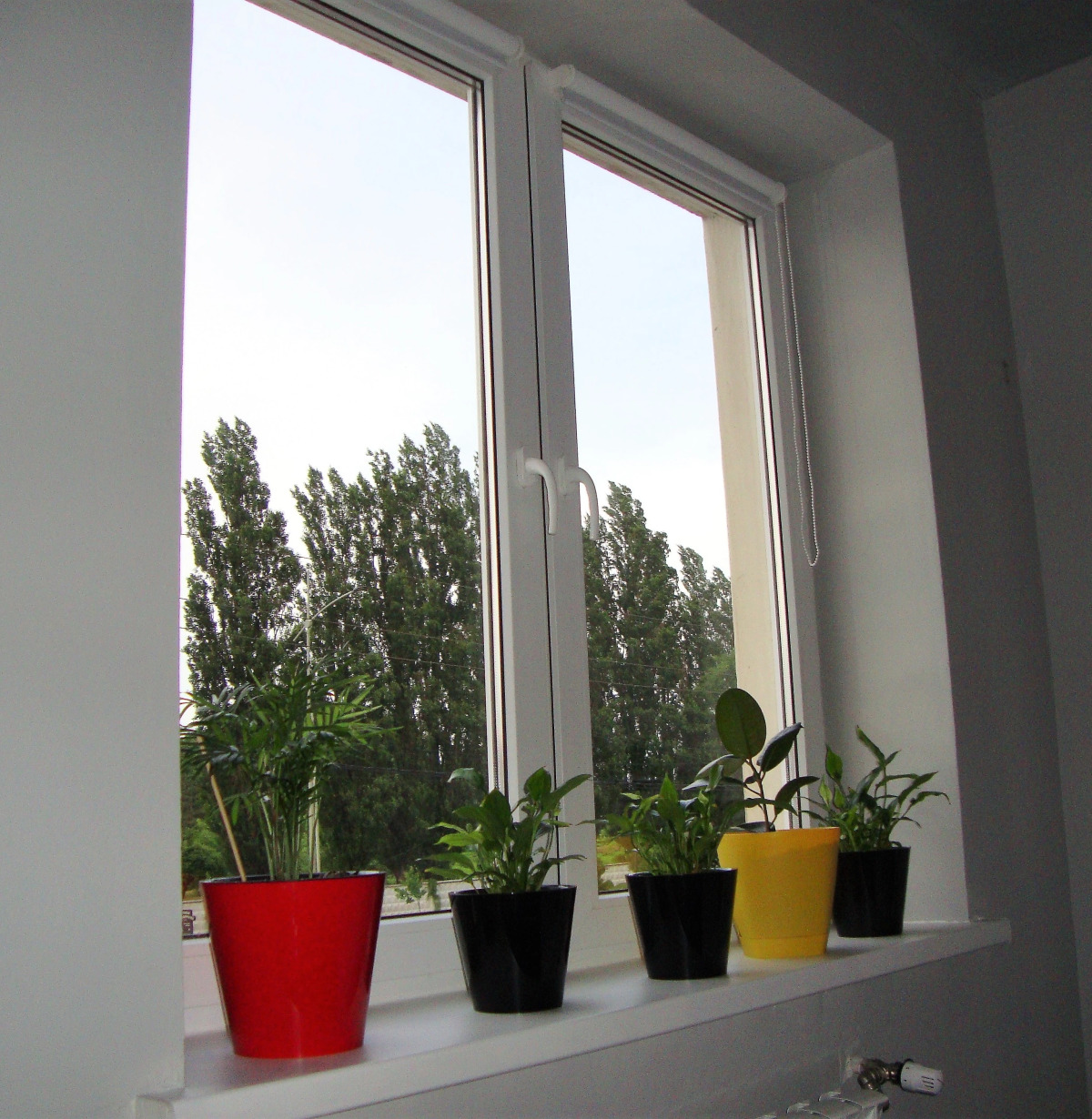 Меблированные Комнаты Студии