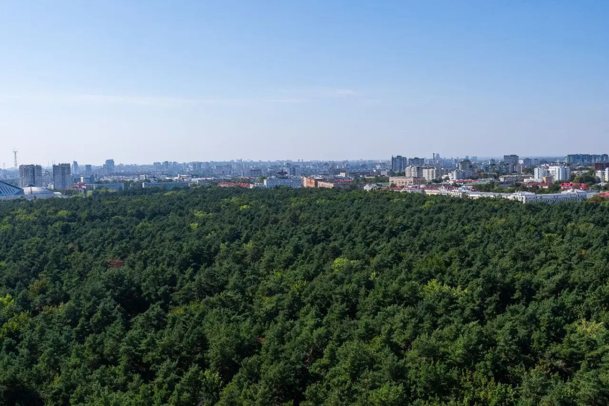 Апартаменты Облако над парком