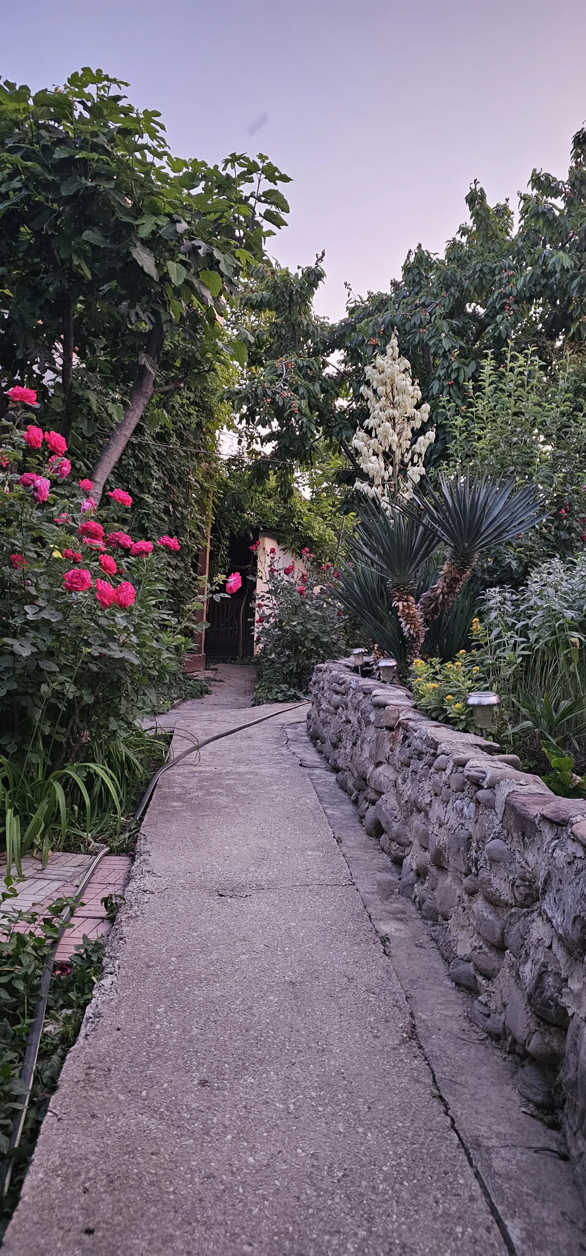 Гостевой Дом Янаки